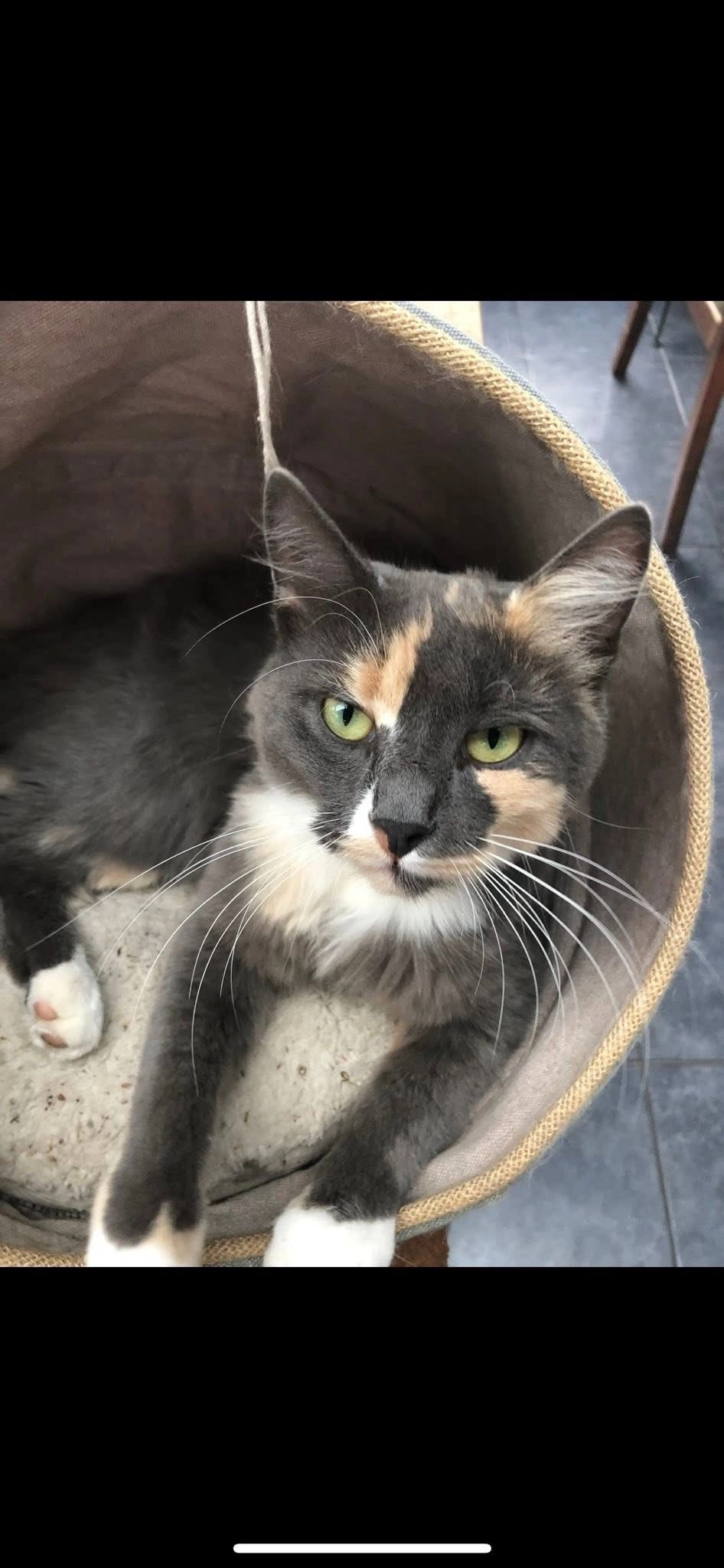 Tia - Voetpad, Heusden-Zolder