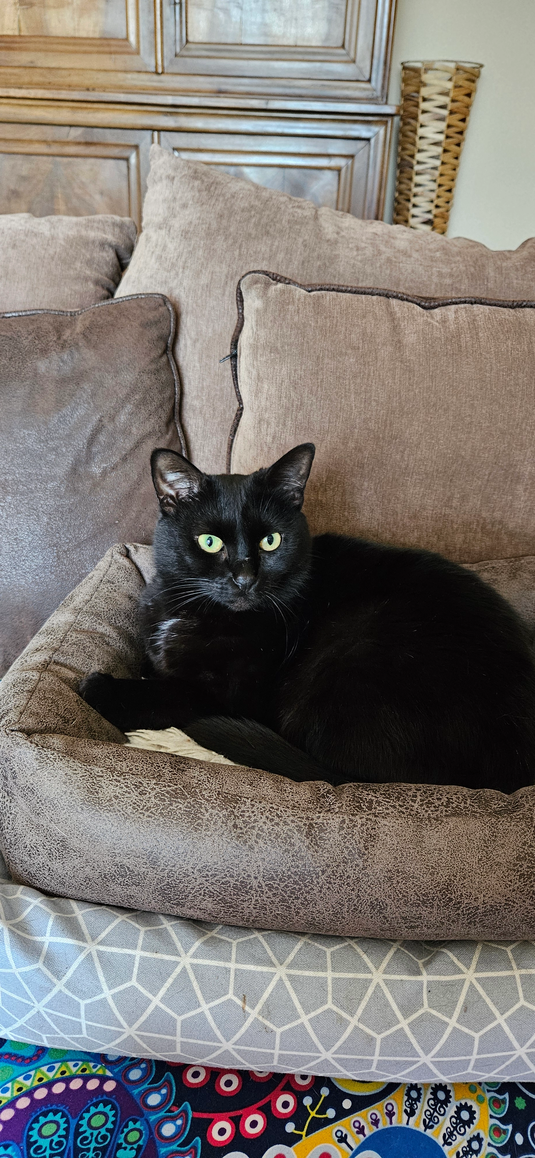 BAGUERA  - 3 Les Panoramas du Jas, Carry-le-Rouet