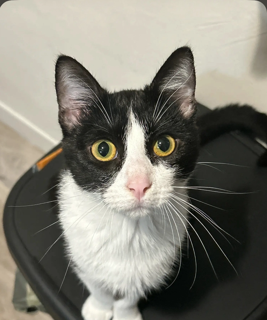 Mouta  - Rue Marcel Paul, Évreux