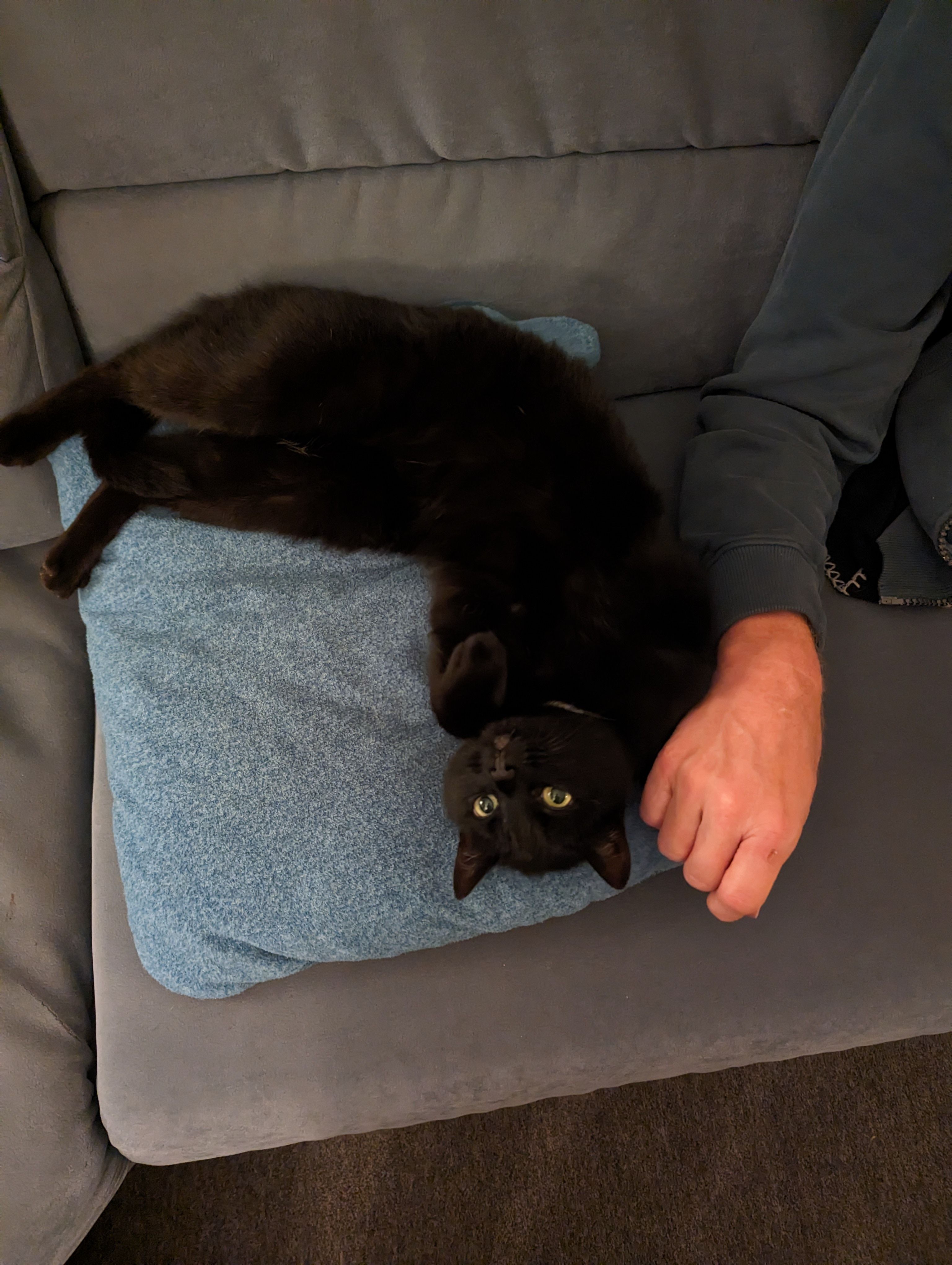 Nuba - Großer Teichweg, Preußisch Oldendorf