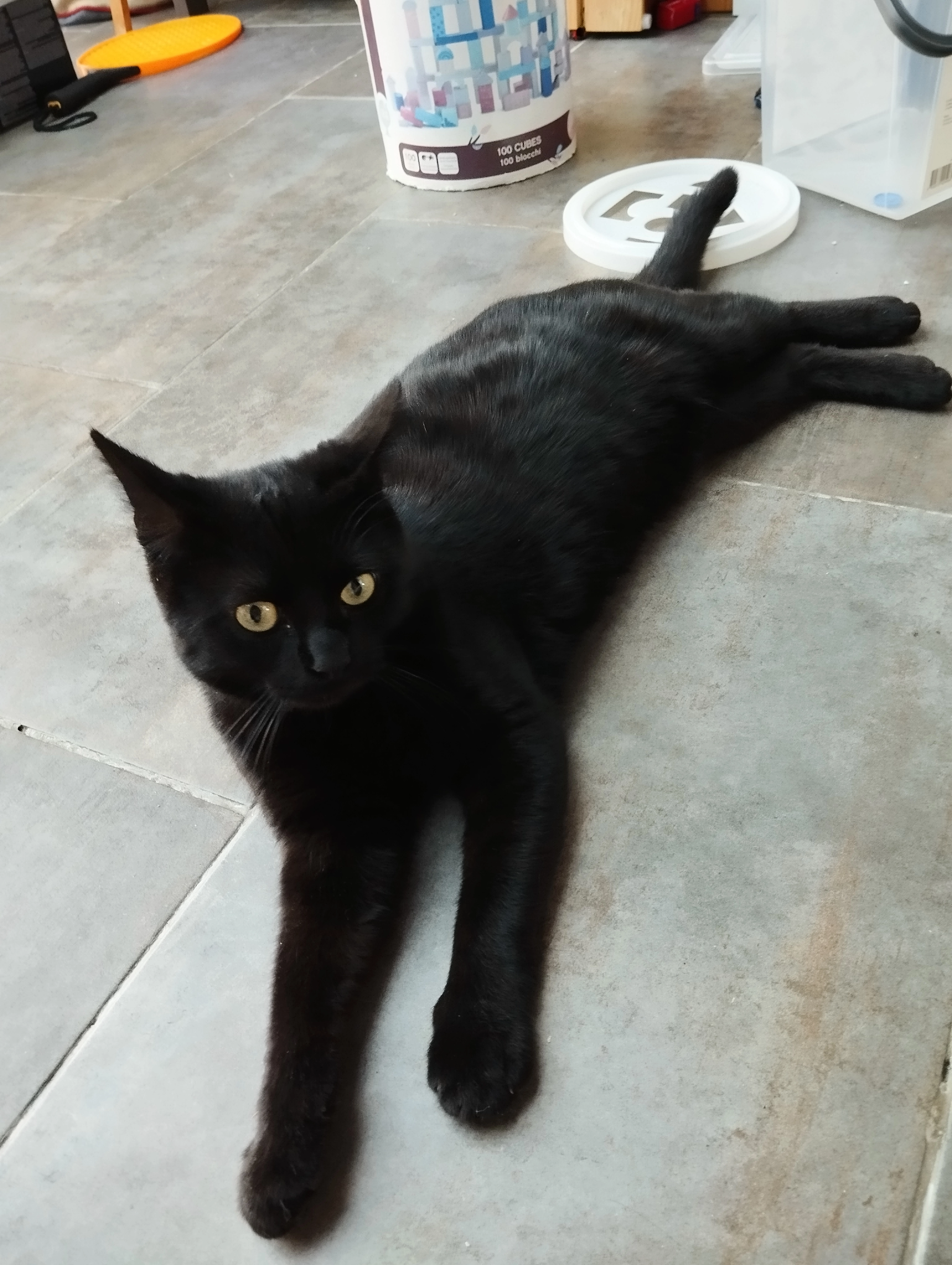 Guismo  - Rue de l'Abbé Lemire, Hem