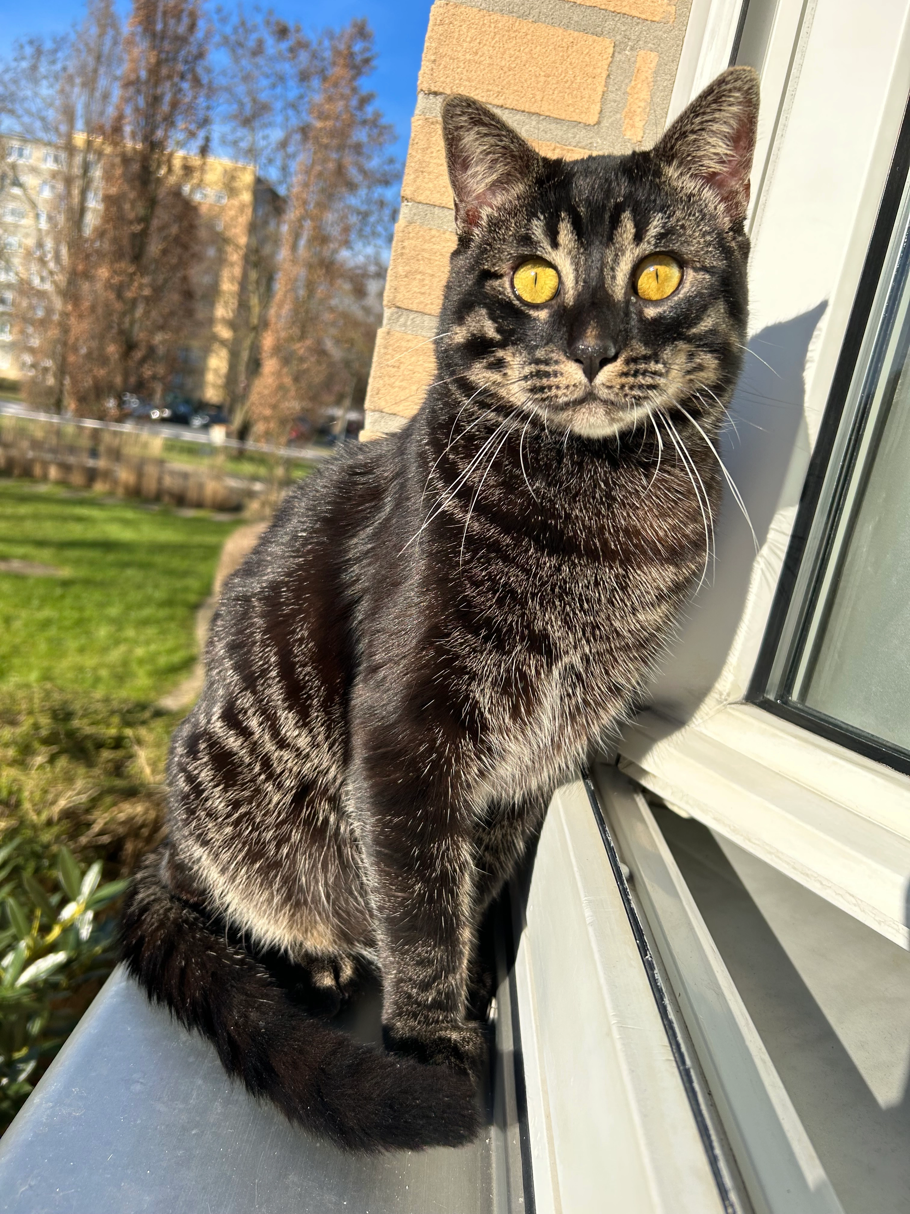 Milo - Kehrstraße, Göttingen