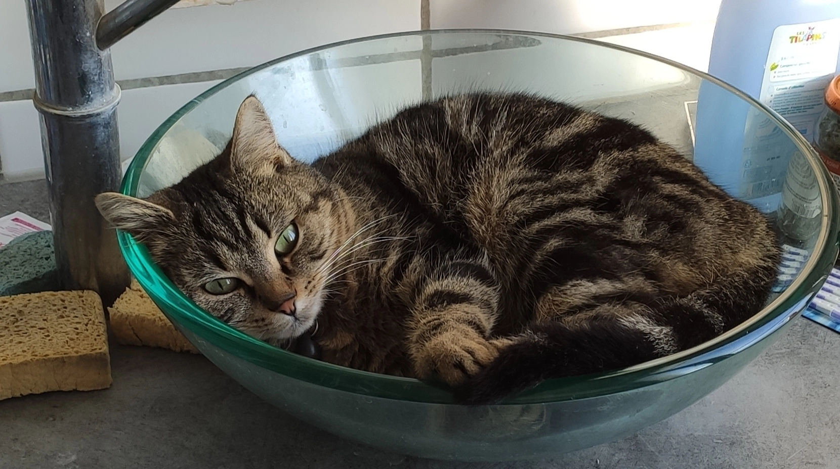 Luna - Rue Maxime Lebrun, Saint-Doulchard