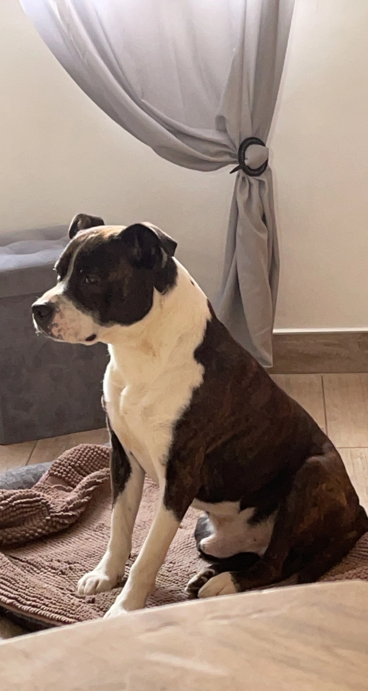 Iron - 17 Rue Émile Zola, Saint-Martin-d'Hères