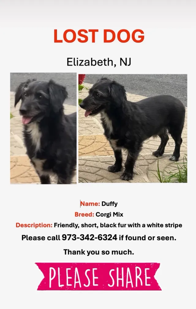 Duffy - 587 Adams Ave, Elizabeth