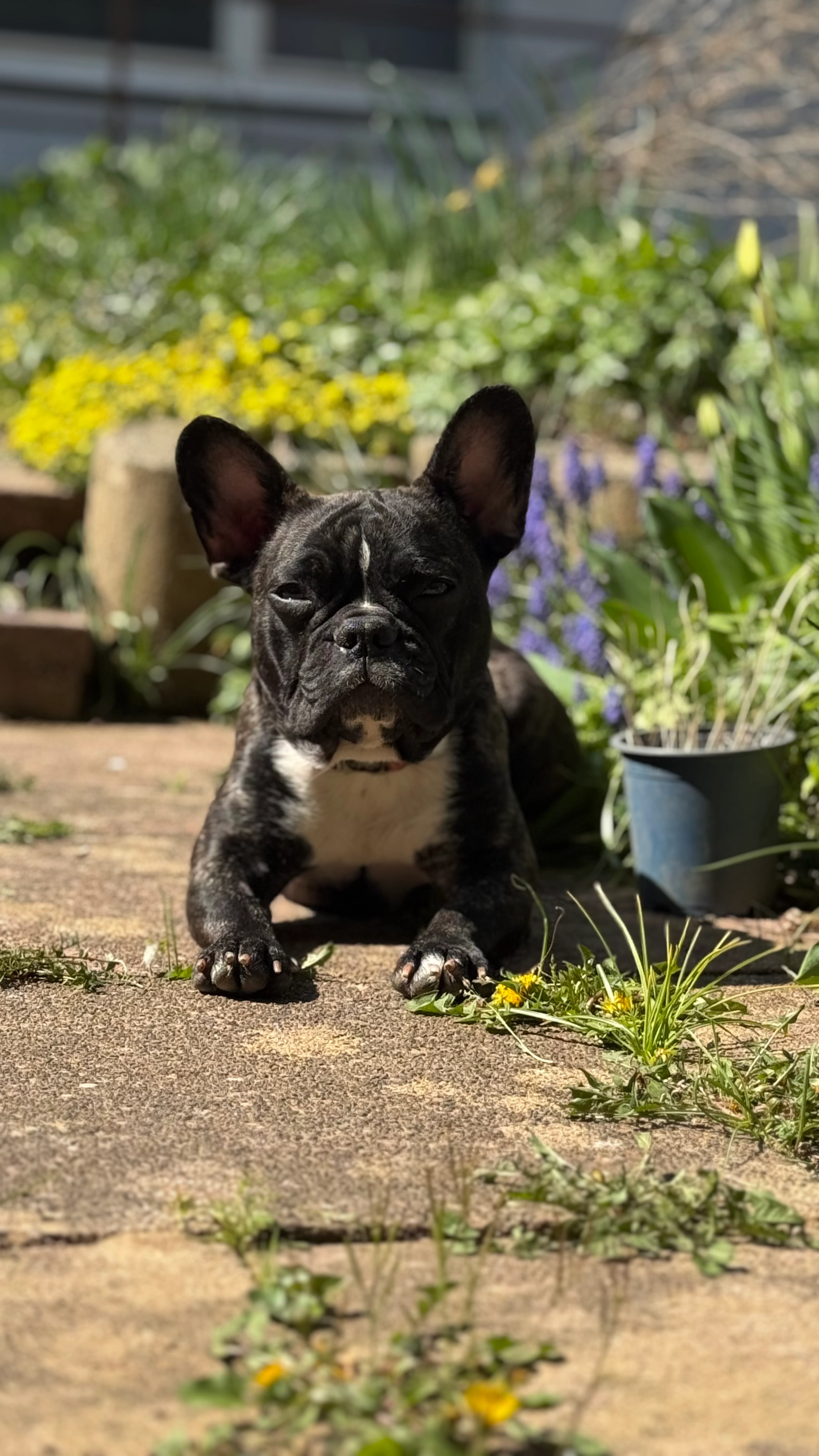 Rosa - Balthasar-Neumann-Straße, Stuttgart
