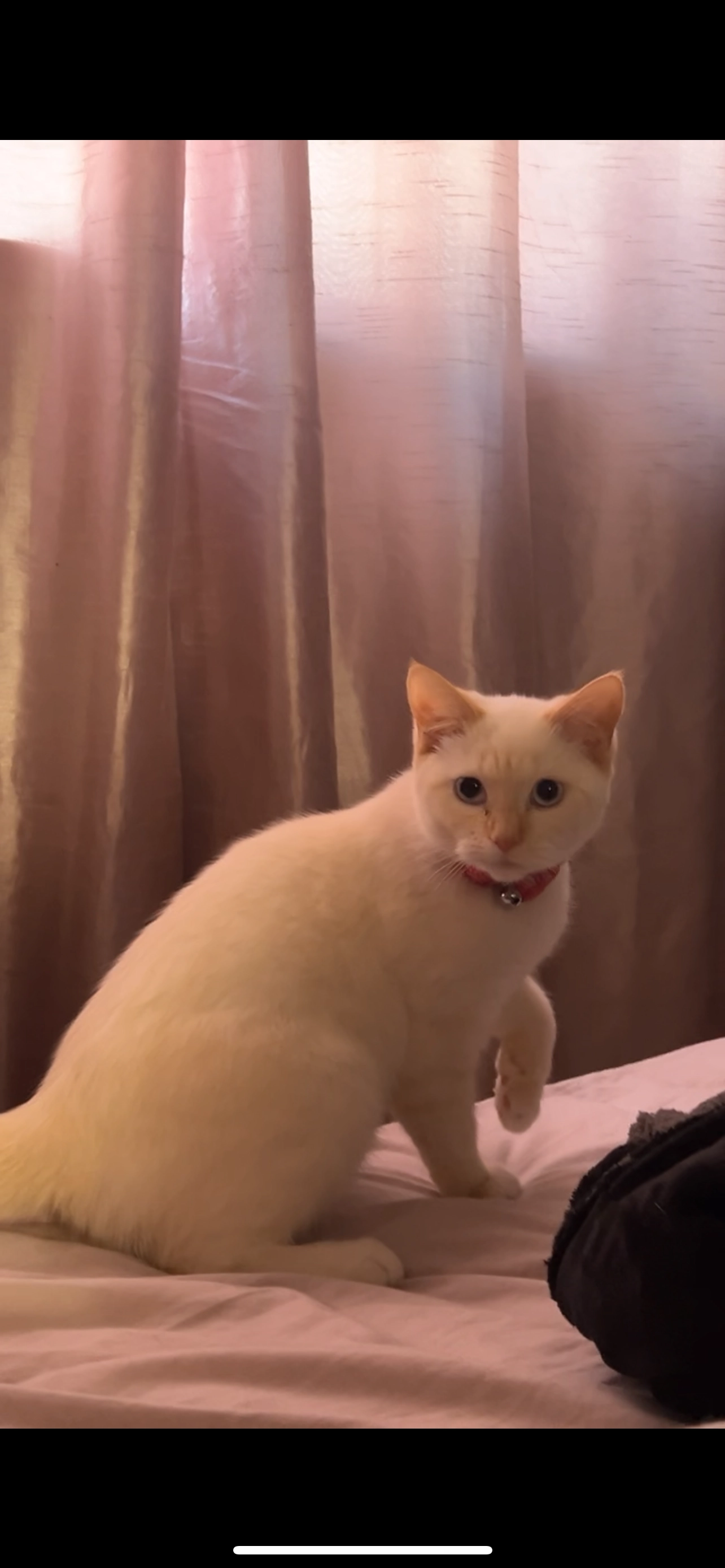 Lighting - Exeter Place, Preston