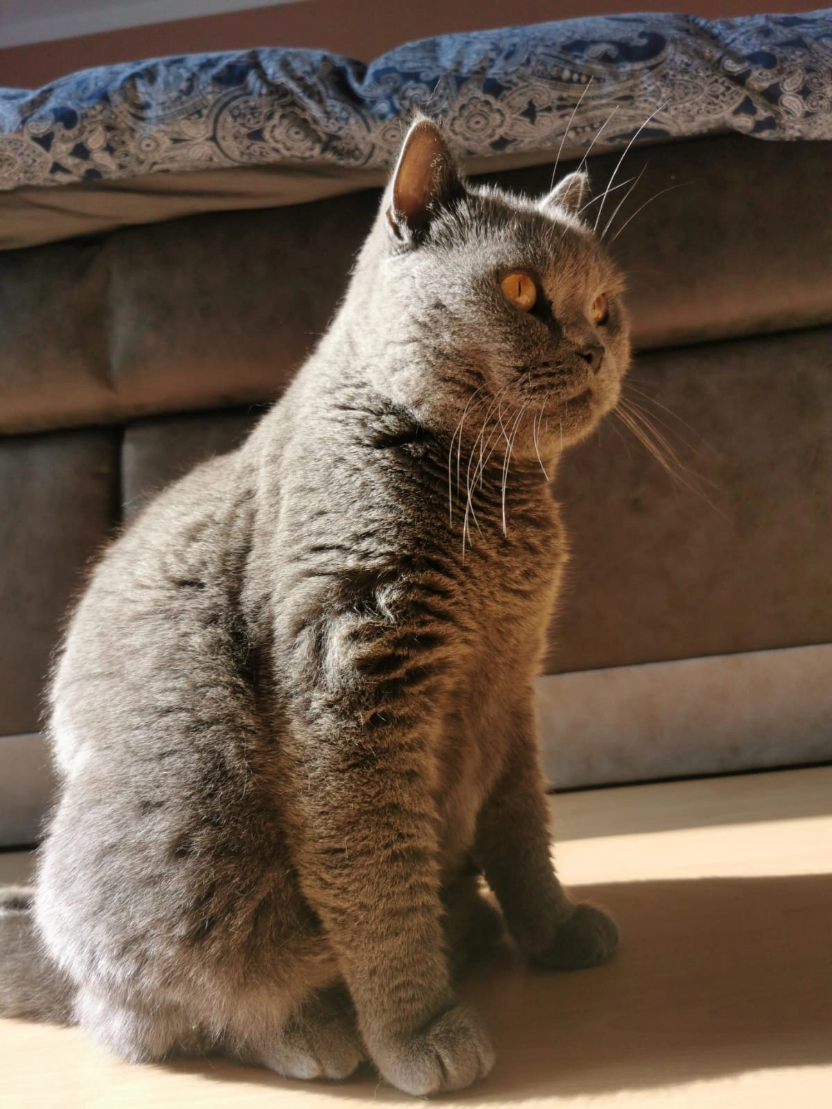 louis - Eisenacher Straße, Aurich