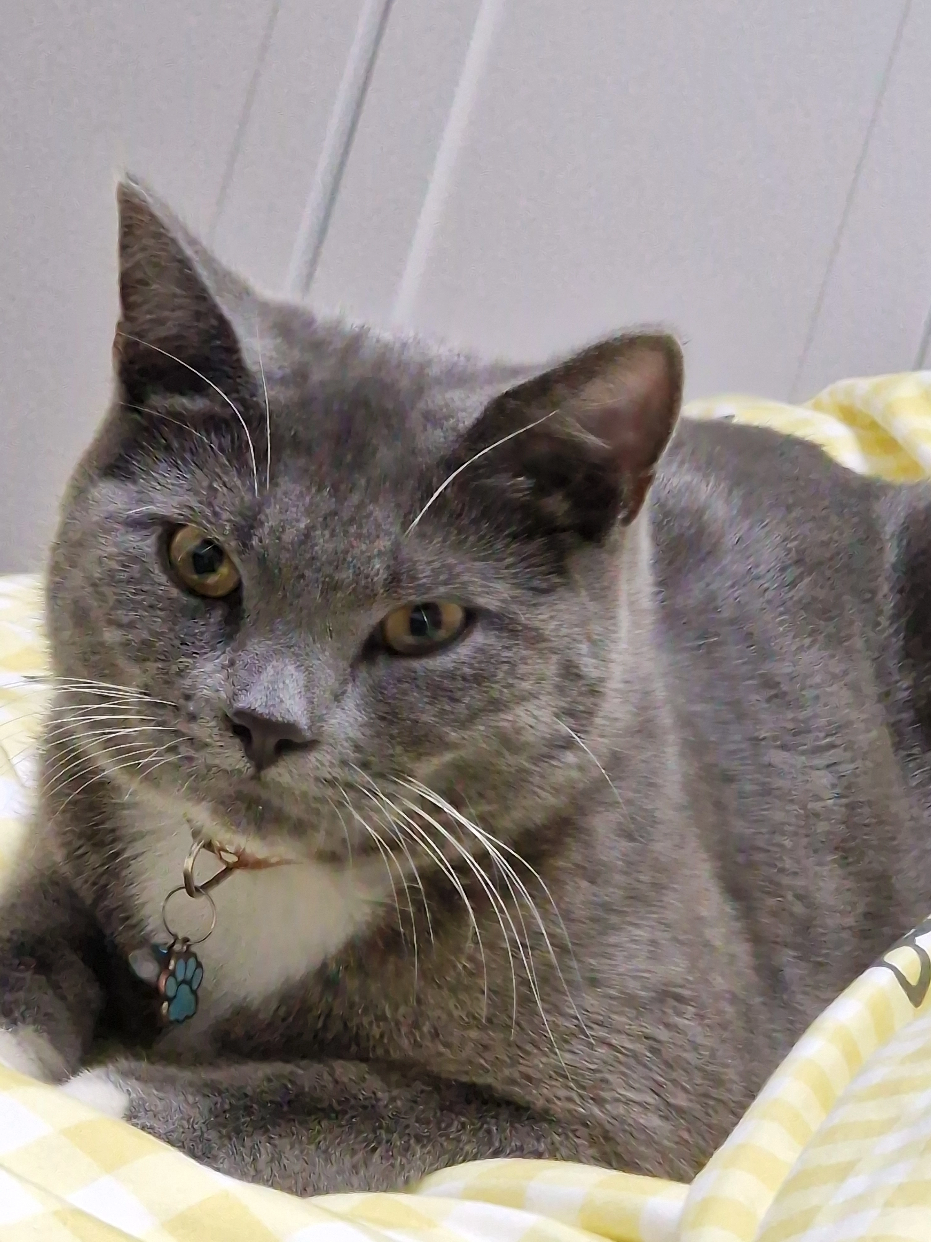 Simba - Raffineriestraße, Wietze