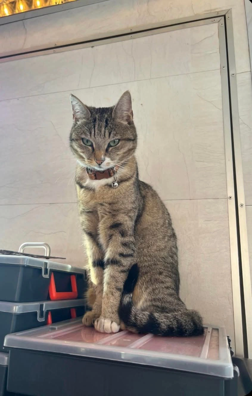 Nouille  - Rue Du Général De Gaulle, Montois-la-Montagne