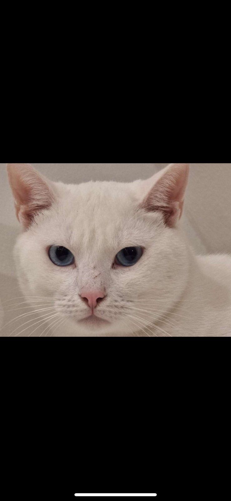 Sunna - Gugga 20, Kapfenberg