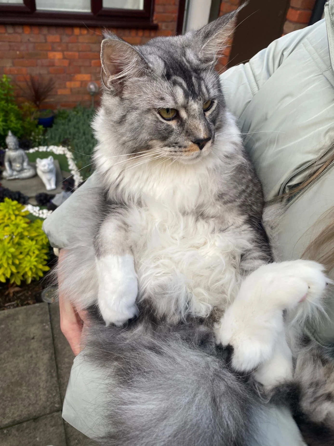 Zeus - Friern Barnet Lane, London