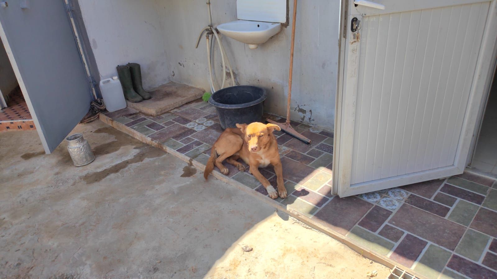 Blue - 15, Ait Buyahya El Hajjama