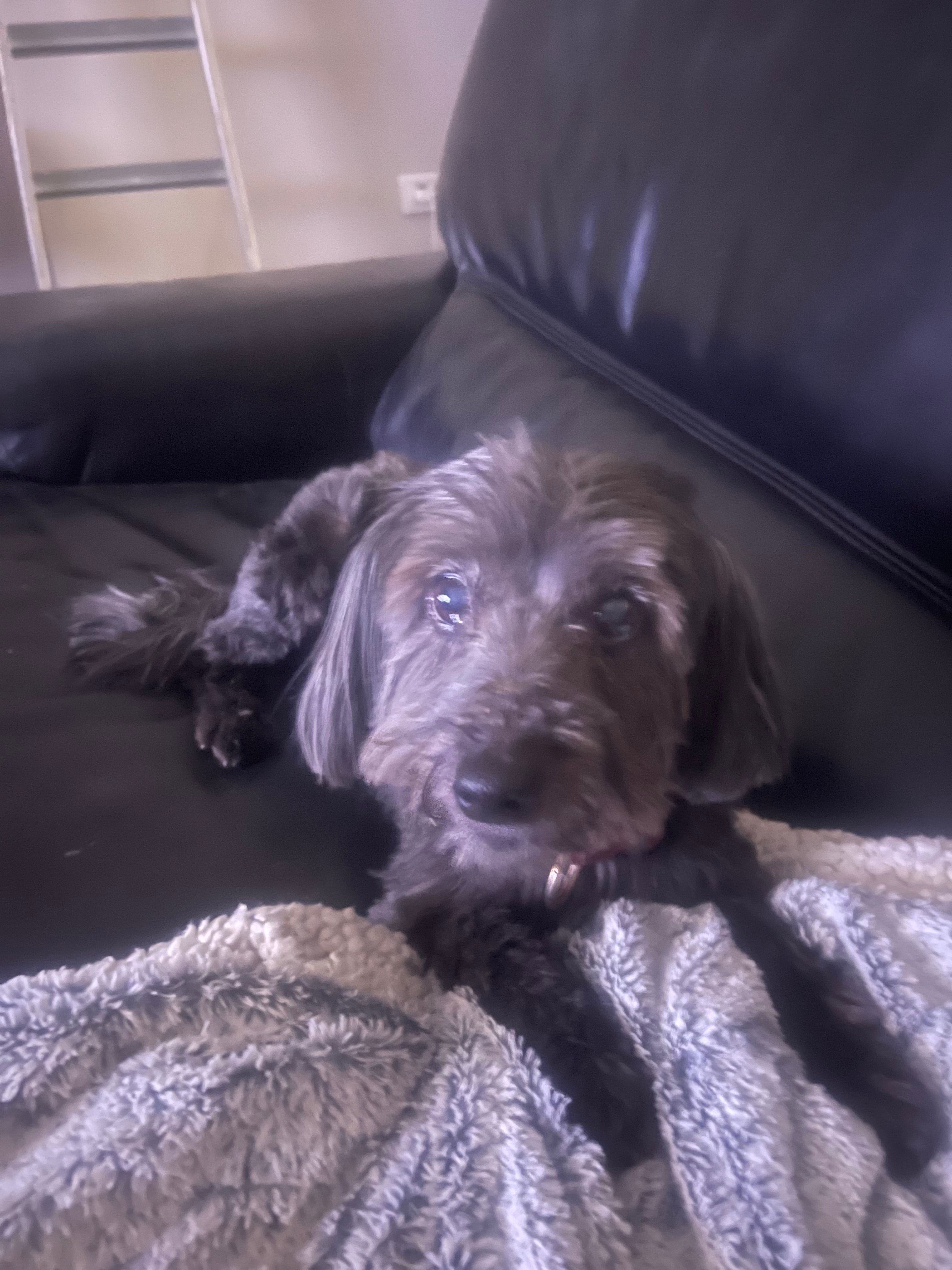 Capsule  - Rue Saint - Fiacre, Cambrai