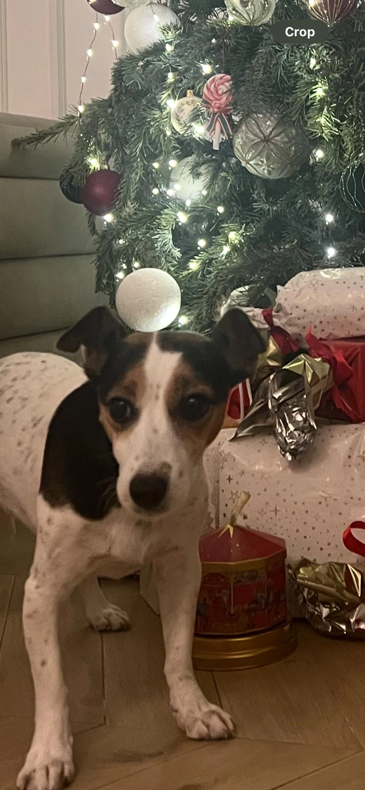 Asa - Place du Palais, Nice