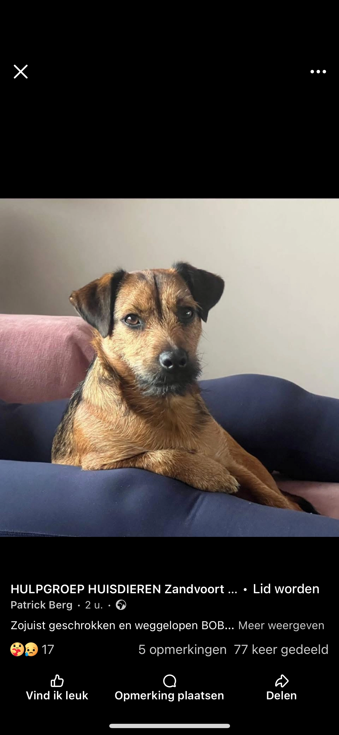 Bobby - Einsteinstraat, Noord-Holland