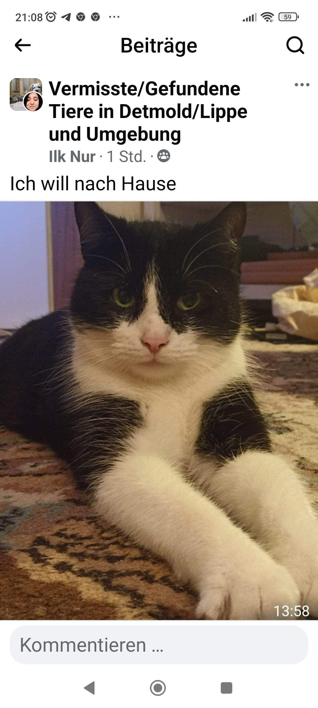 Dr schnaggels - Wiesenbrede, Lage