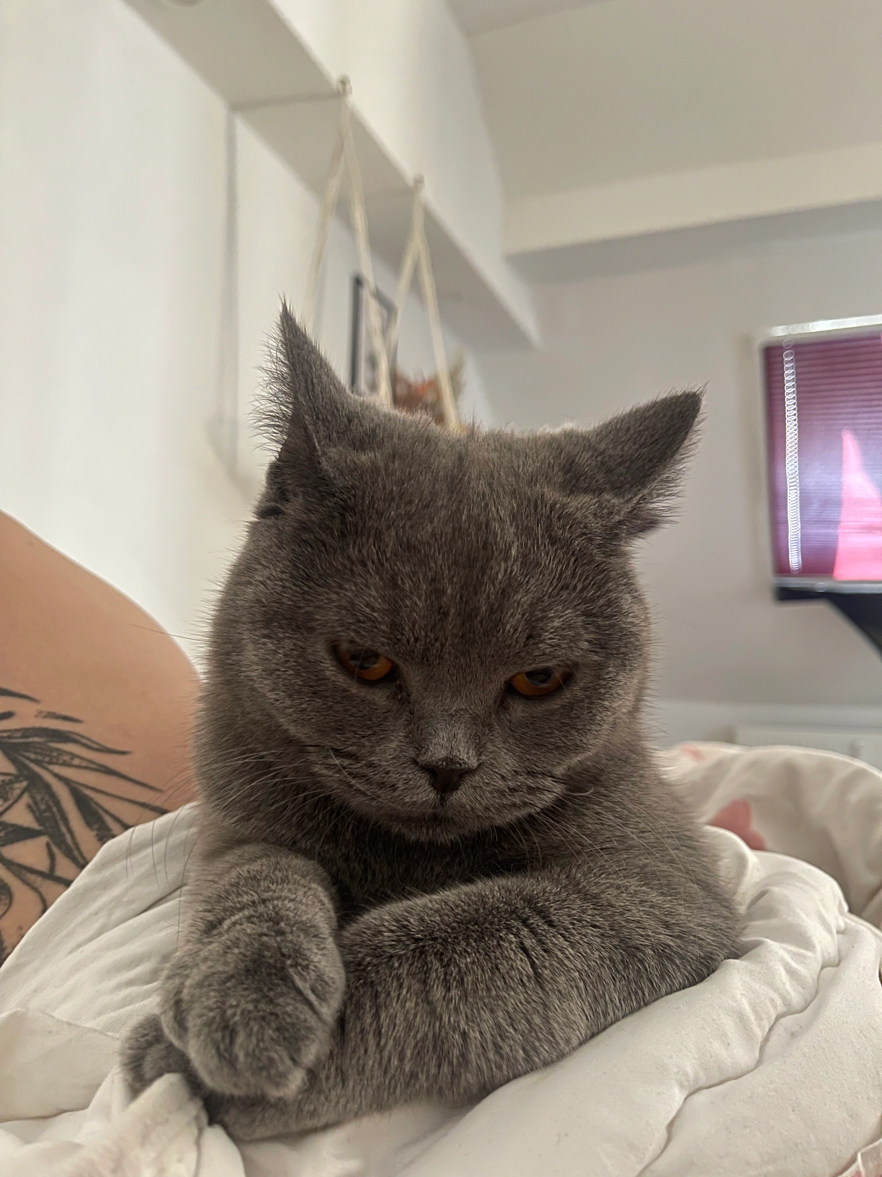 Jack - An Der Point, Bad Windsheim