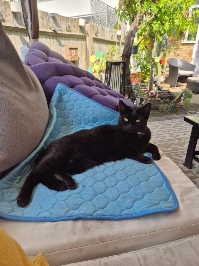 NALA - Stables Yard, London
