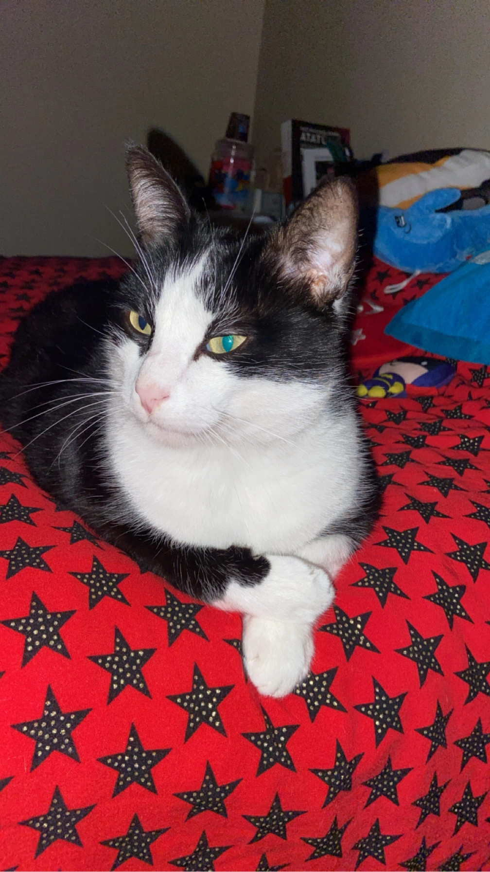 Tatlı  - Rue Louis Curel, Chenôve