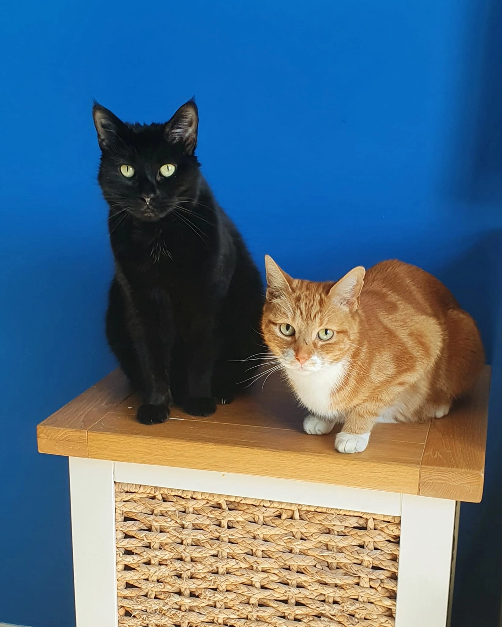 Troy - Olympic Way, Kettering