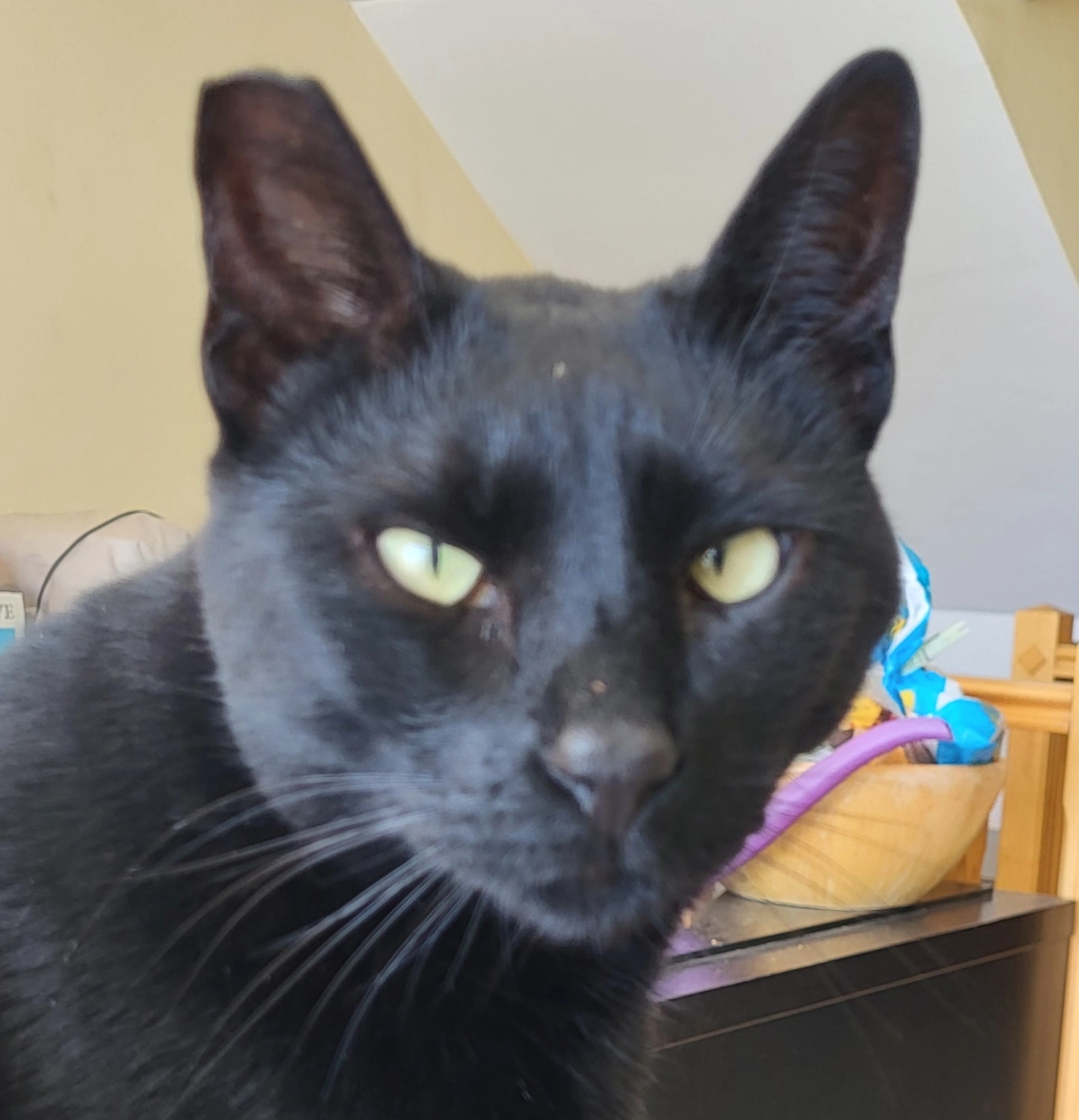 Pepe - Calle de Fernando Dodero, Los Urrutias , Cartagena