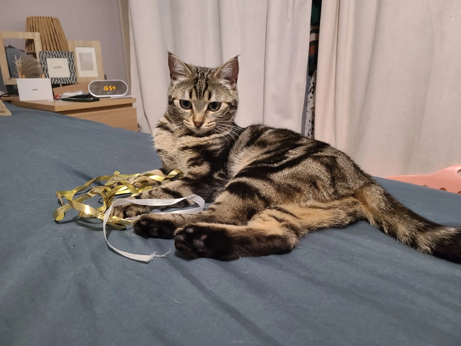 Khâla - Rue de Beauchamp, Taverny