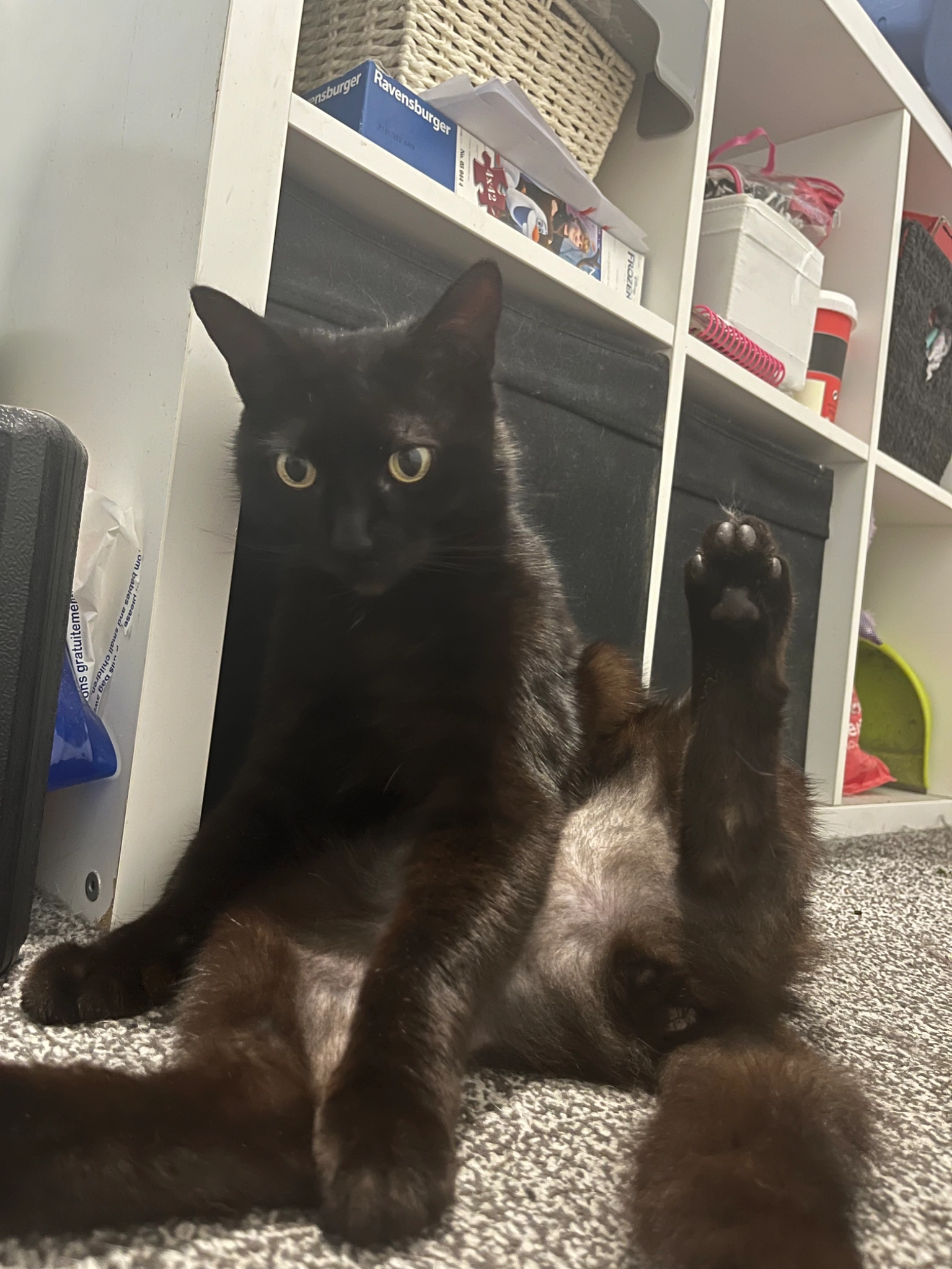 Lucifer - Ramsey Close, Kenilworth