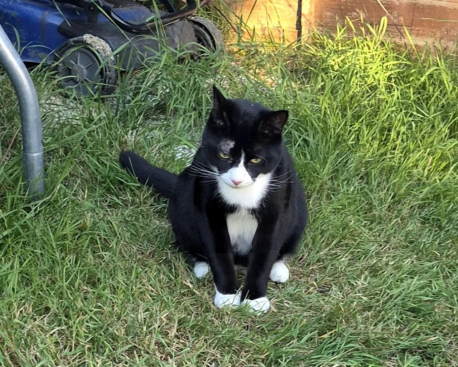 Dusk  - Rowan Walk, Hatfield