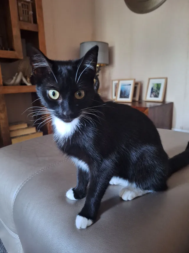 Elsa - Exford Avenue, Wigan