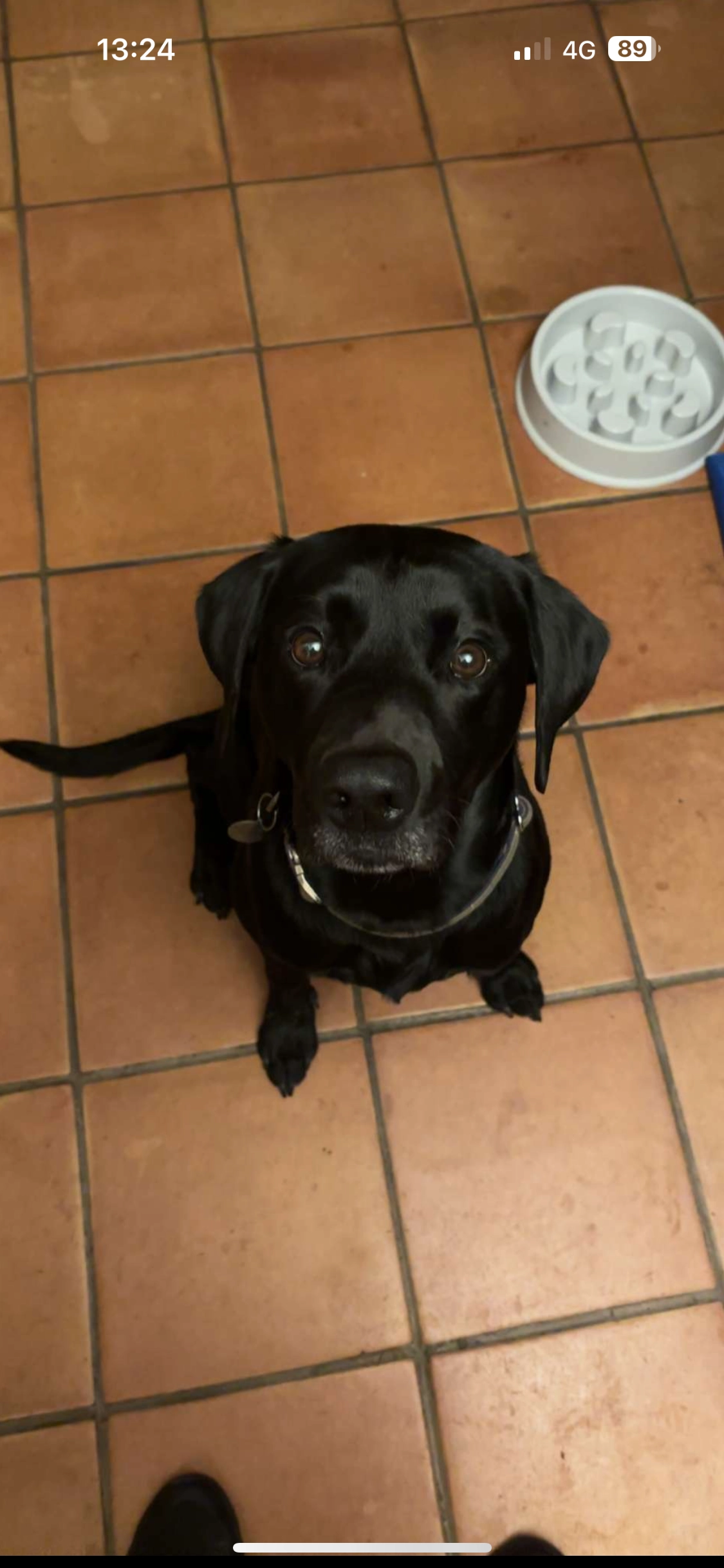 Shelby hall - Dunmow Road, Dunmow