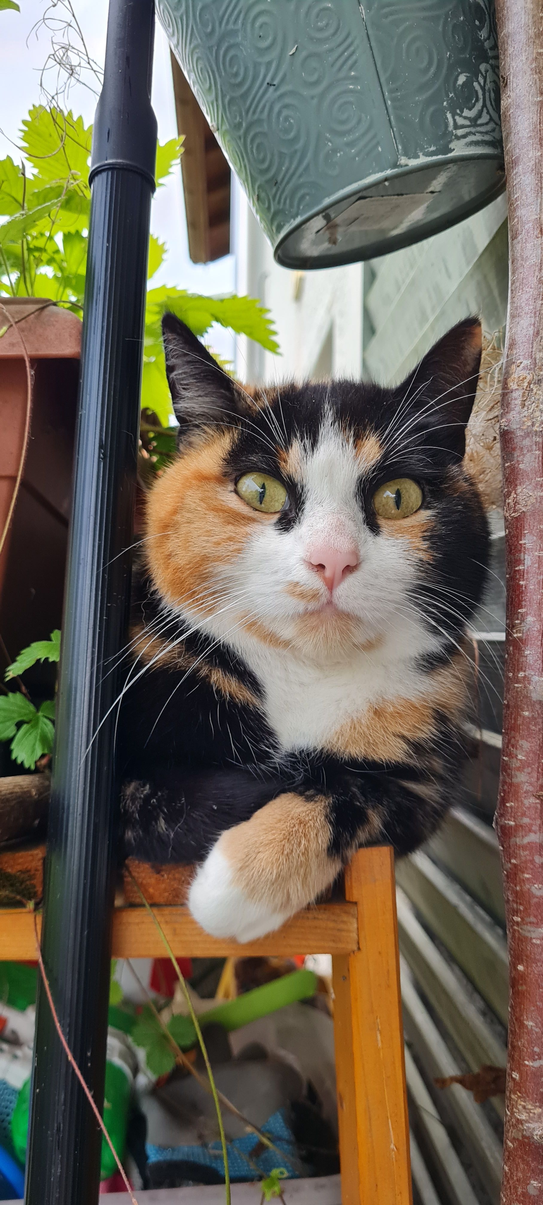 Lu - Rickenbachstrasse 17, Schwyz