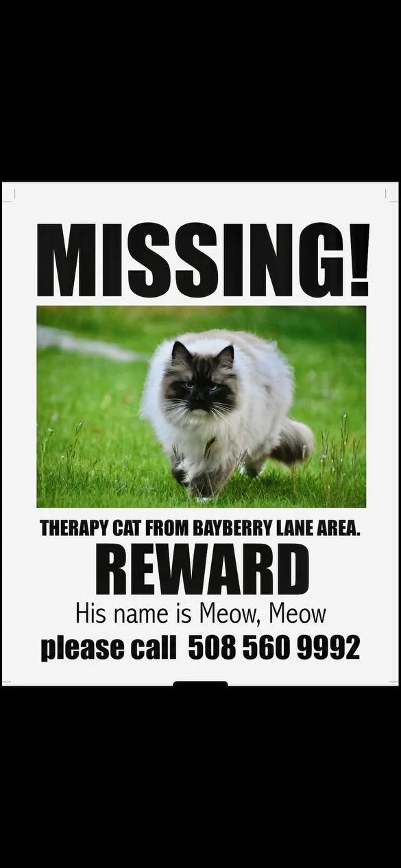 Meow Meow - 9 Bayberry Ln, Nantucket
