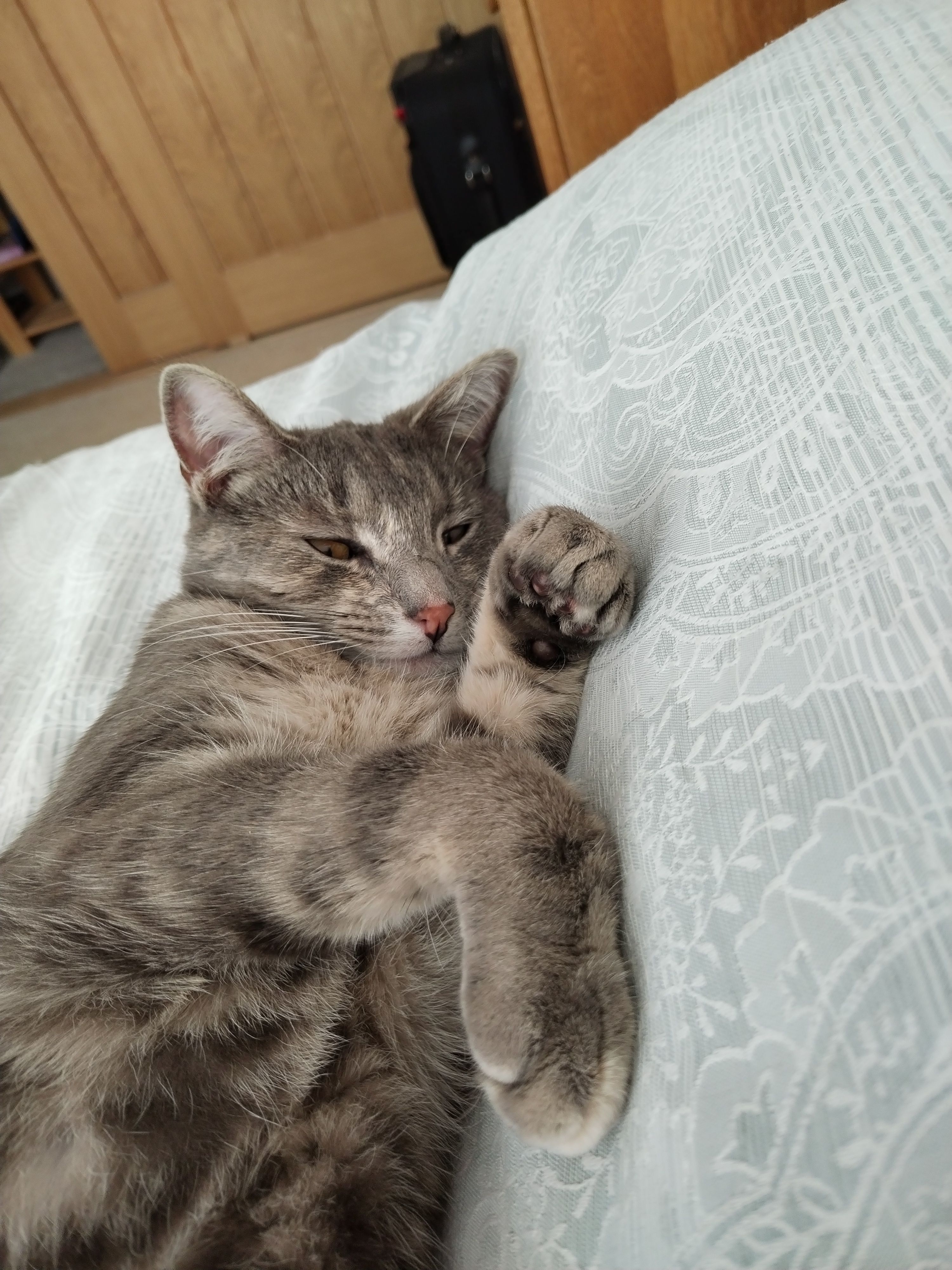 Astrid - Standrigg Road, Falkirk