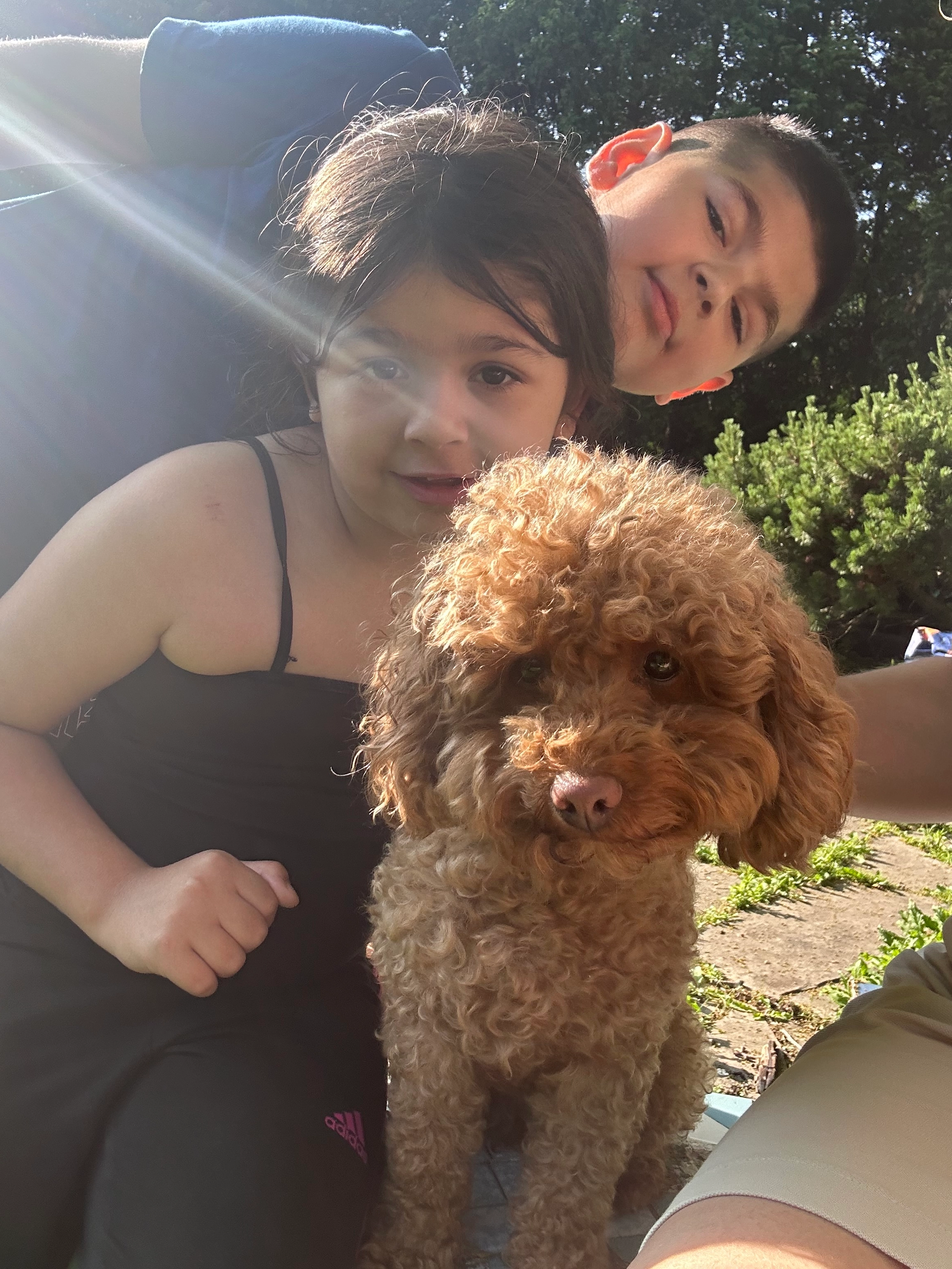 Lily - Sydenham Road, Glasgow