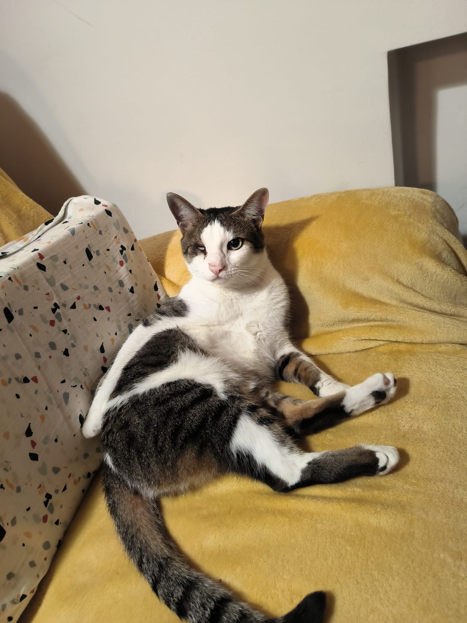 Vito - Dinarska ulica, Zagreb