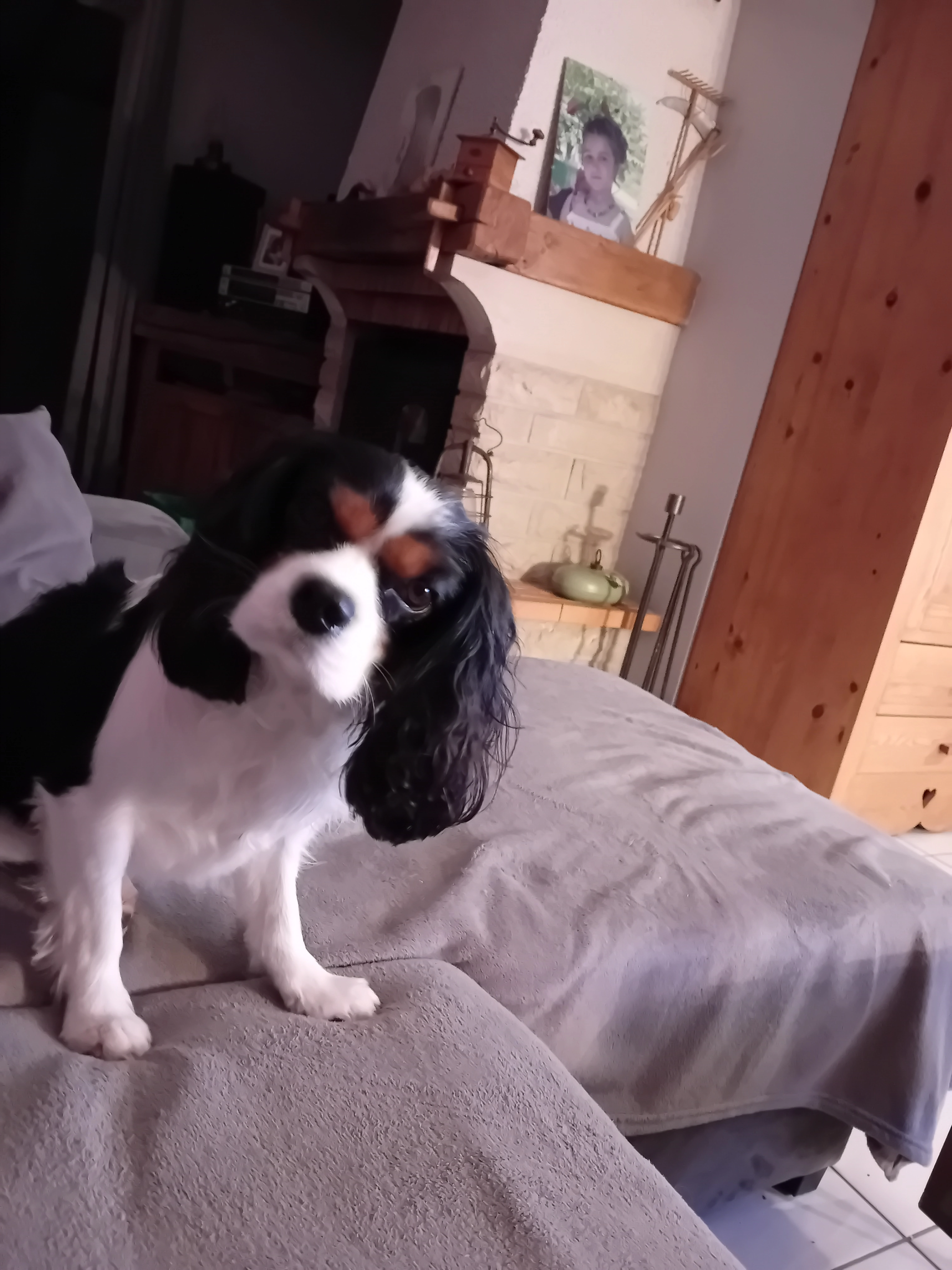 Lucky - Rue Des Vignes, Villers-Buzon