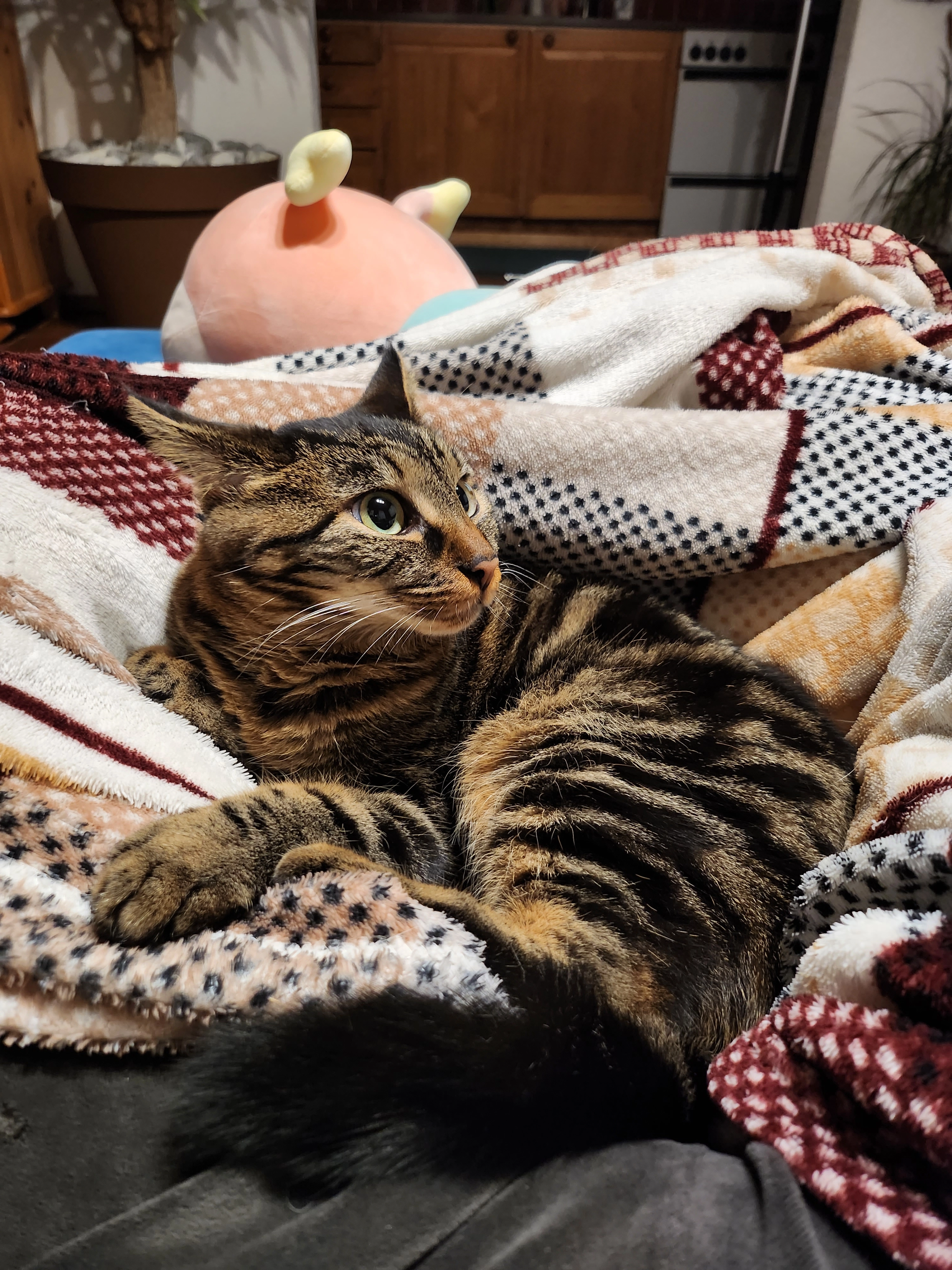 Touille - Chemin de l'Etang, Les Agettes