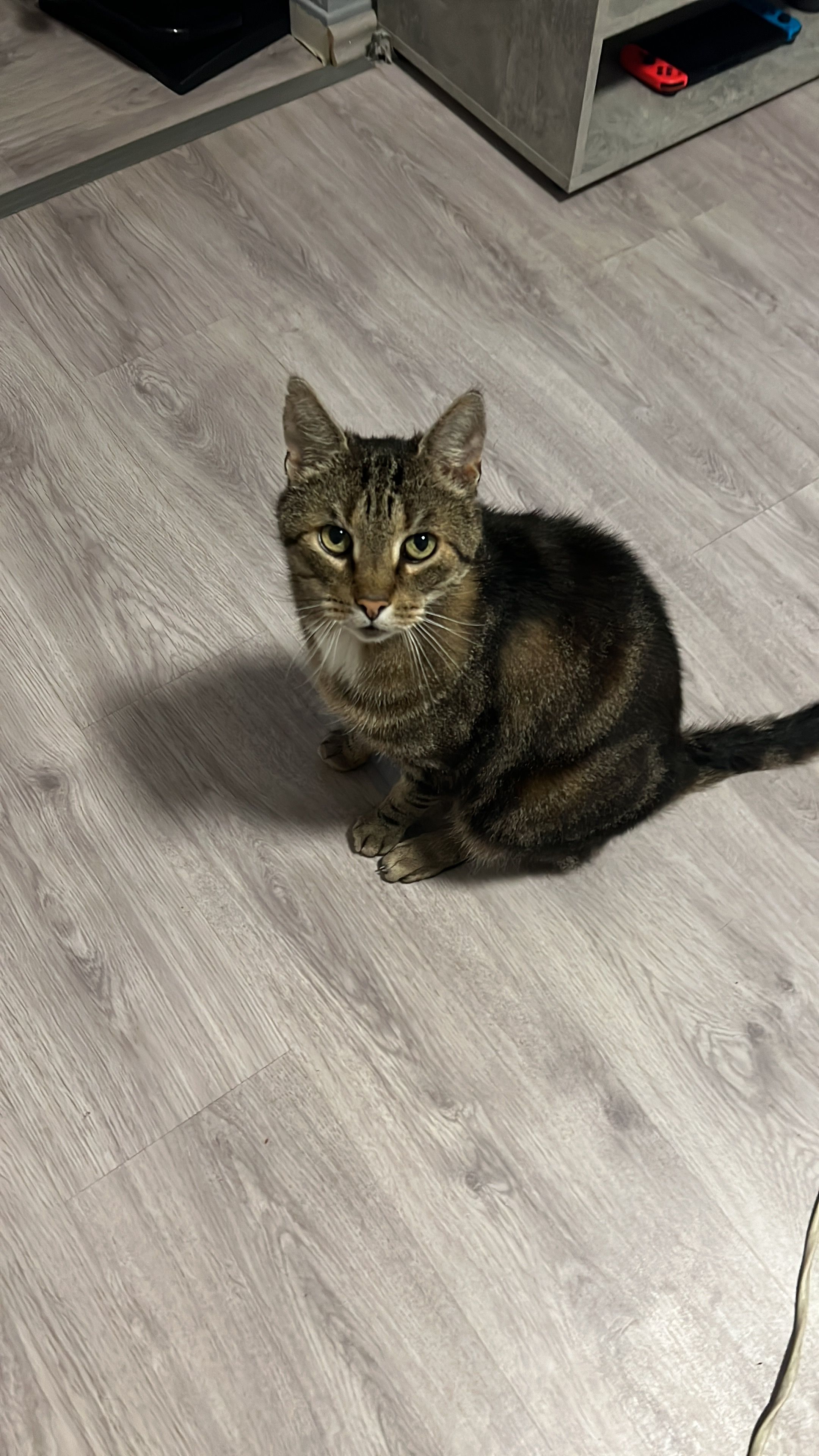 Riki - Beethovenstraße, Hemer