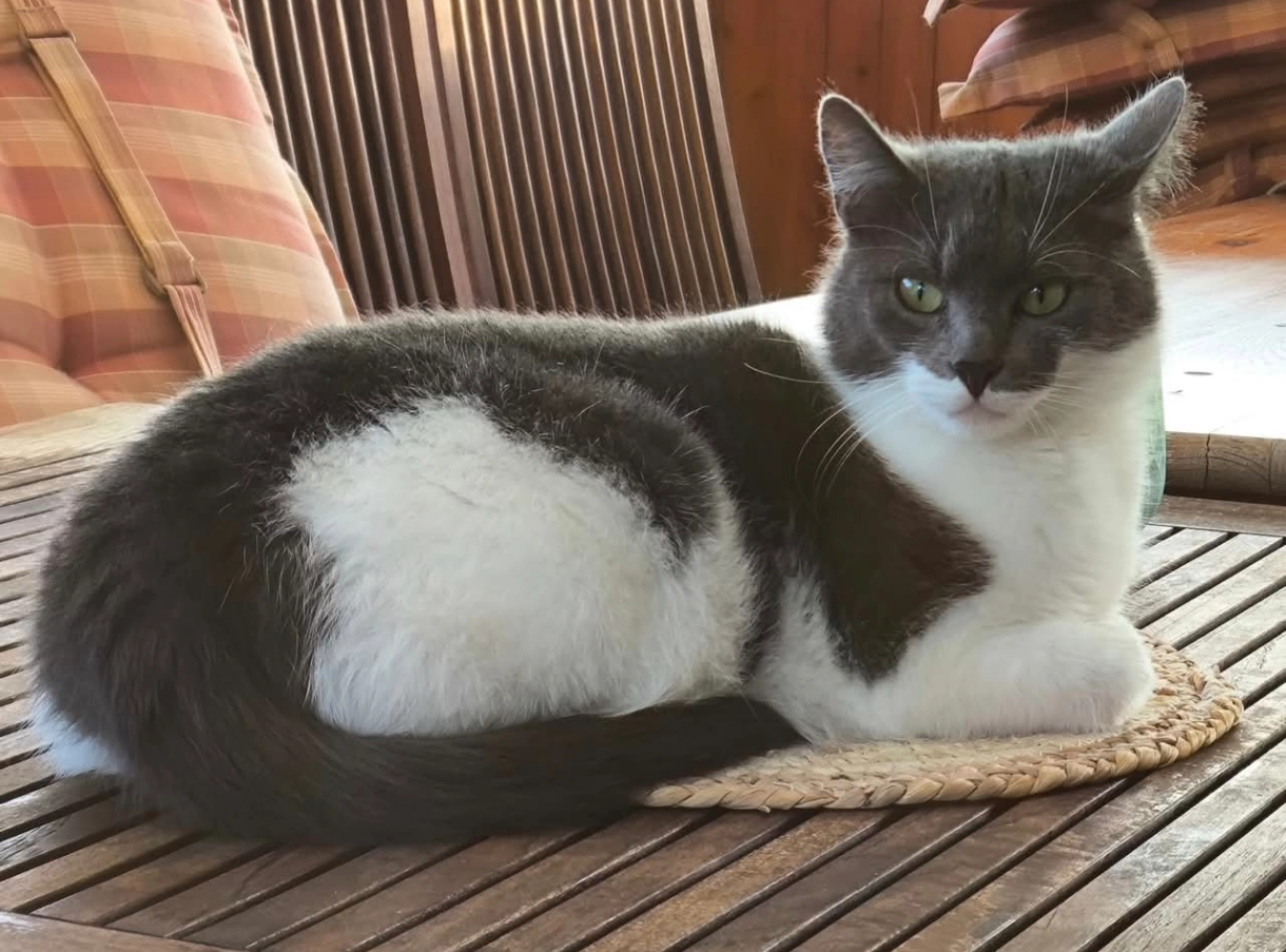 Masha - Lupinenstege und Am Rott, Hamminkeln