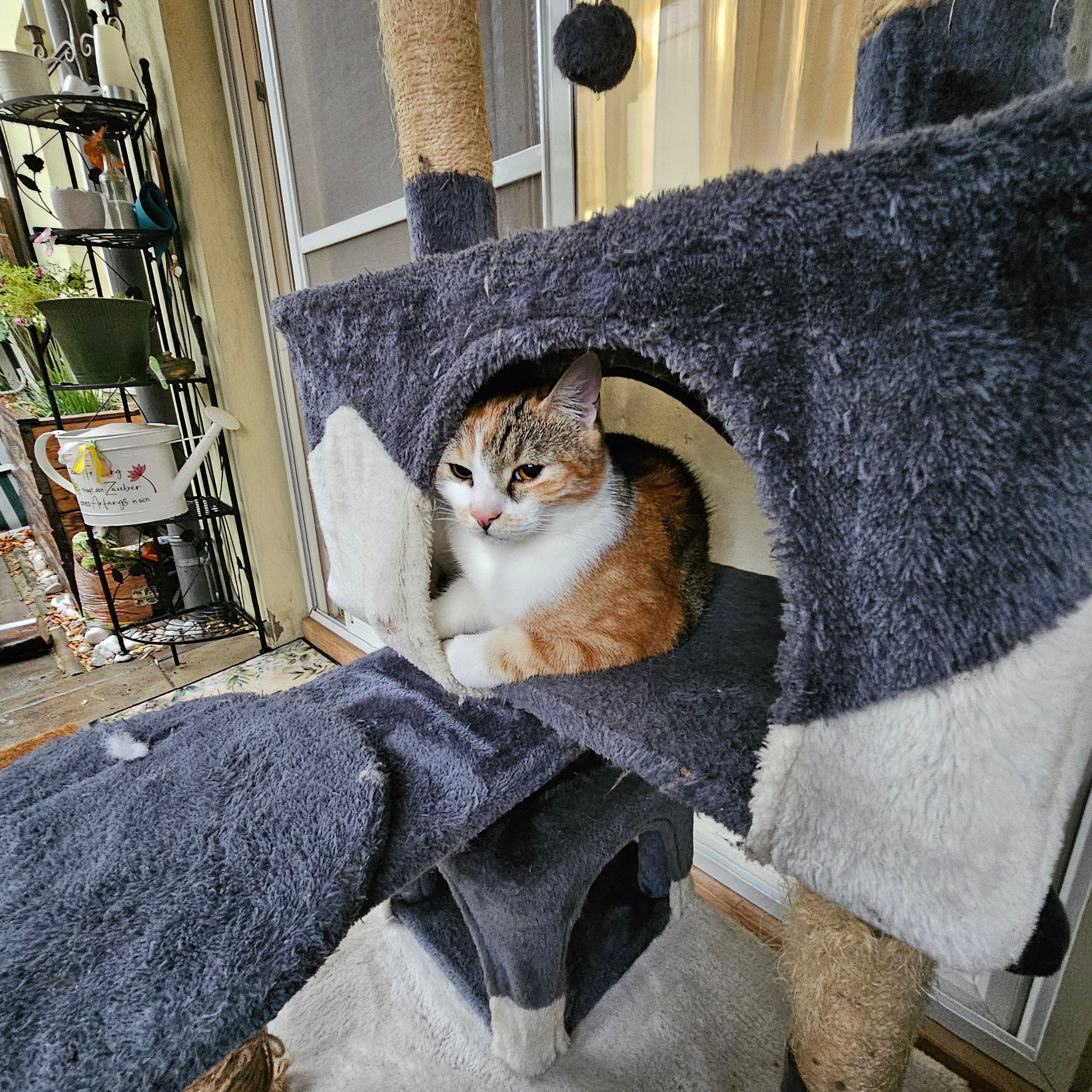 Klara - Naglergasse, Zistersdorf