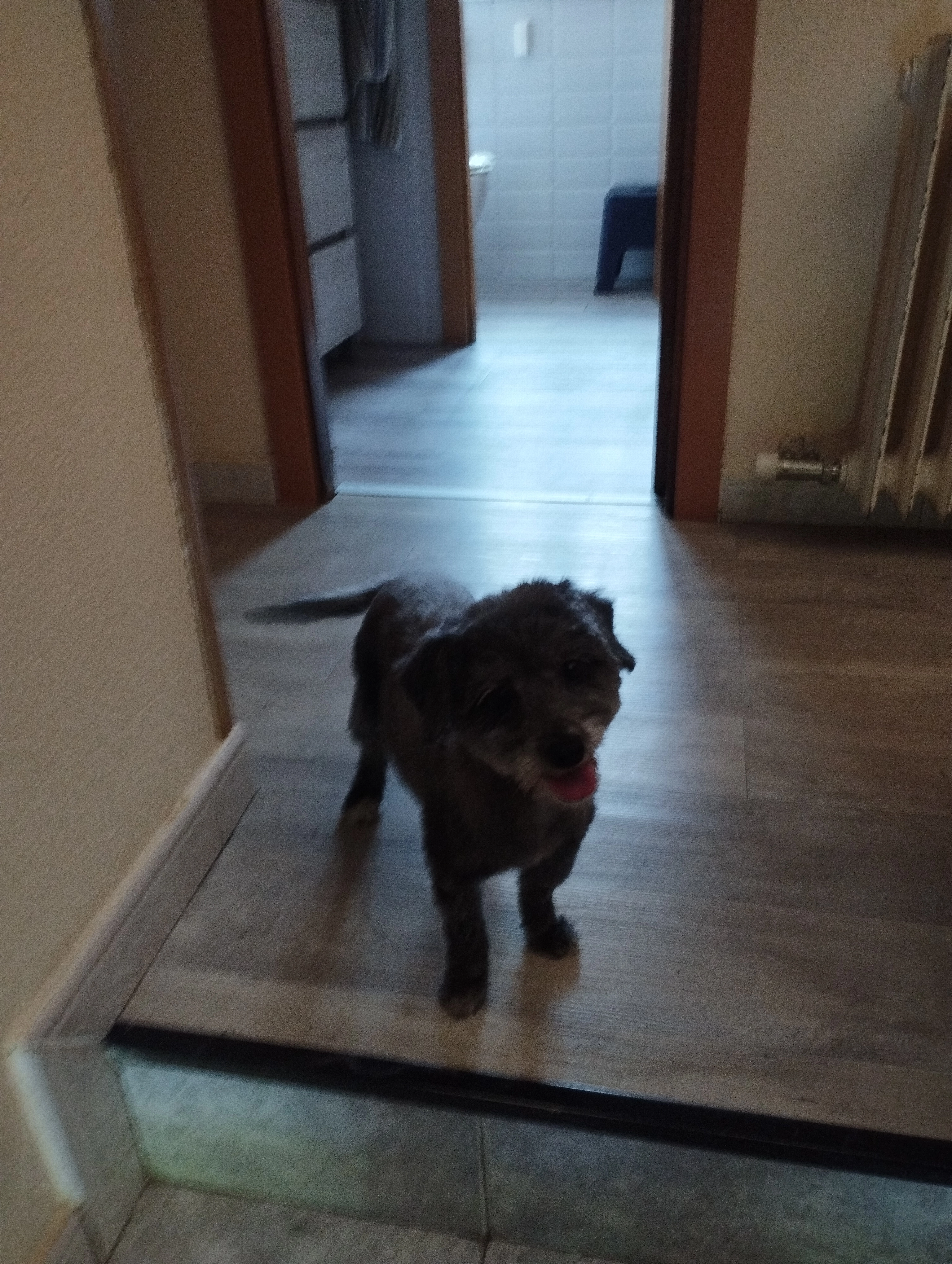 Wanda  - Carrer De Les Basses, Rubí