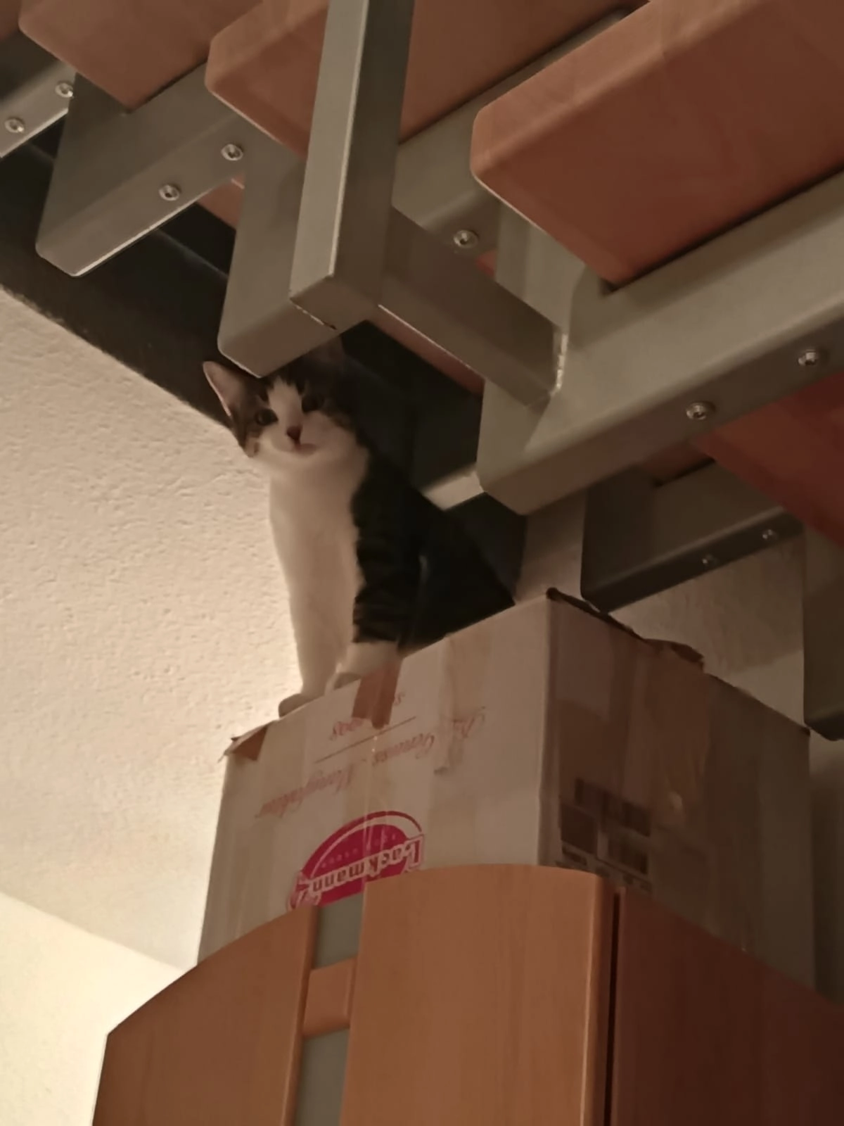 Barsik - Alter Richener Weg, Eppingen