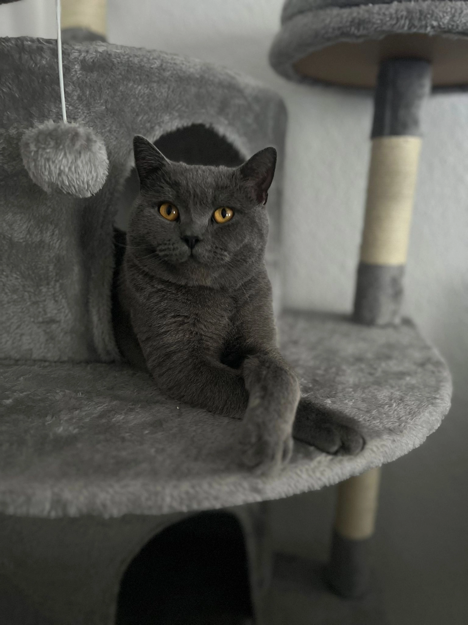 Balou - Erlenbruch, Salzgitter