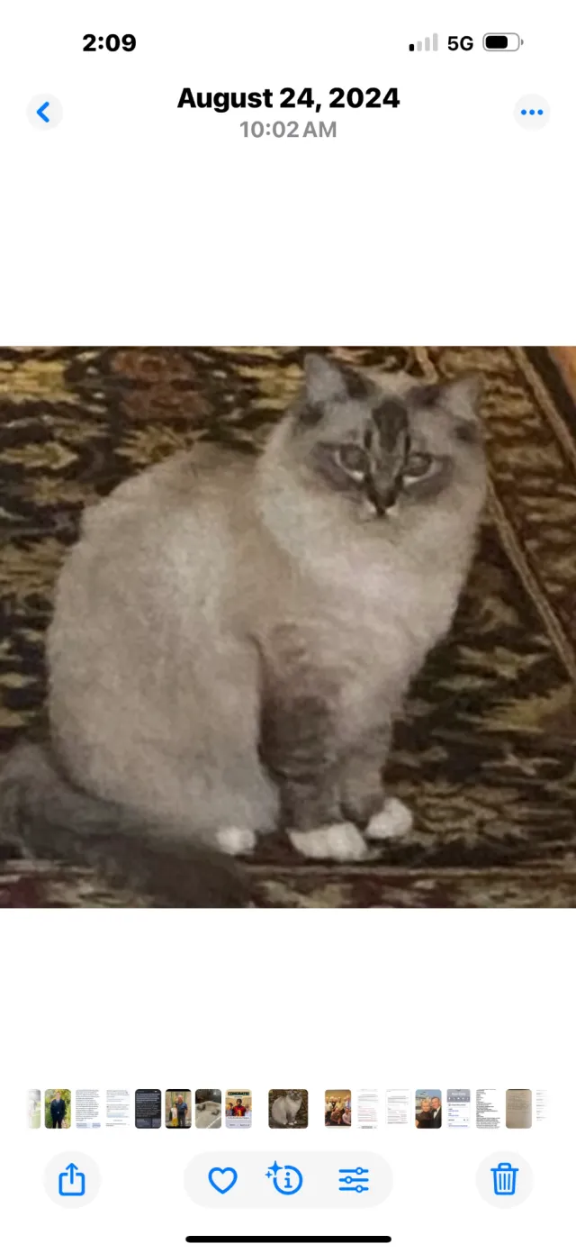 Annie - Murphy Hill Dr, Whittier