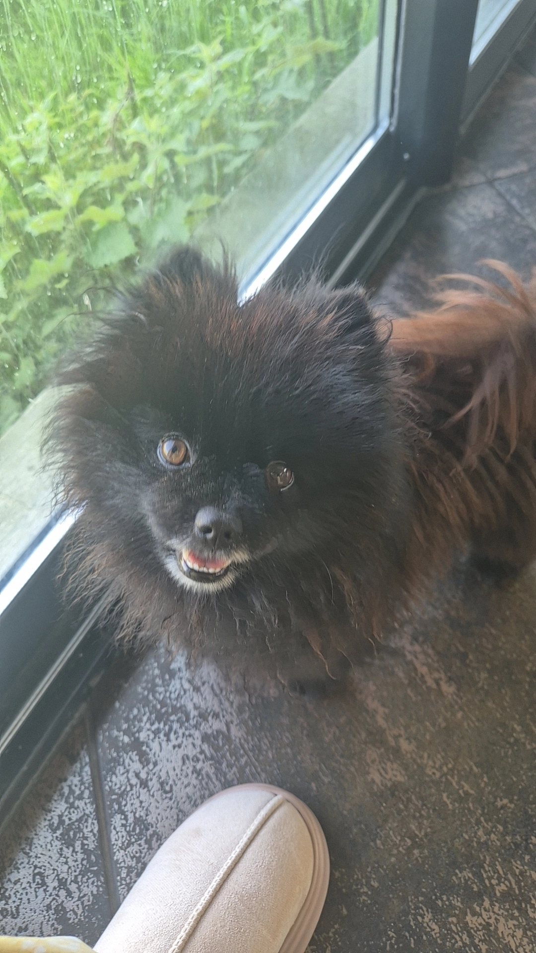 Tayki - Château d'Arsac, Arsac