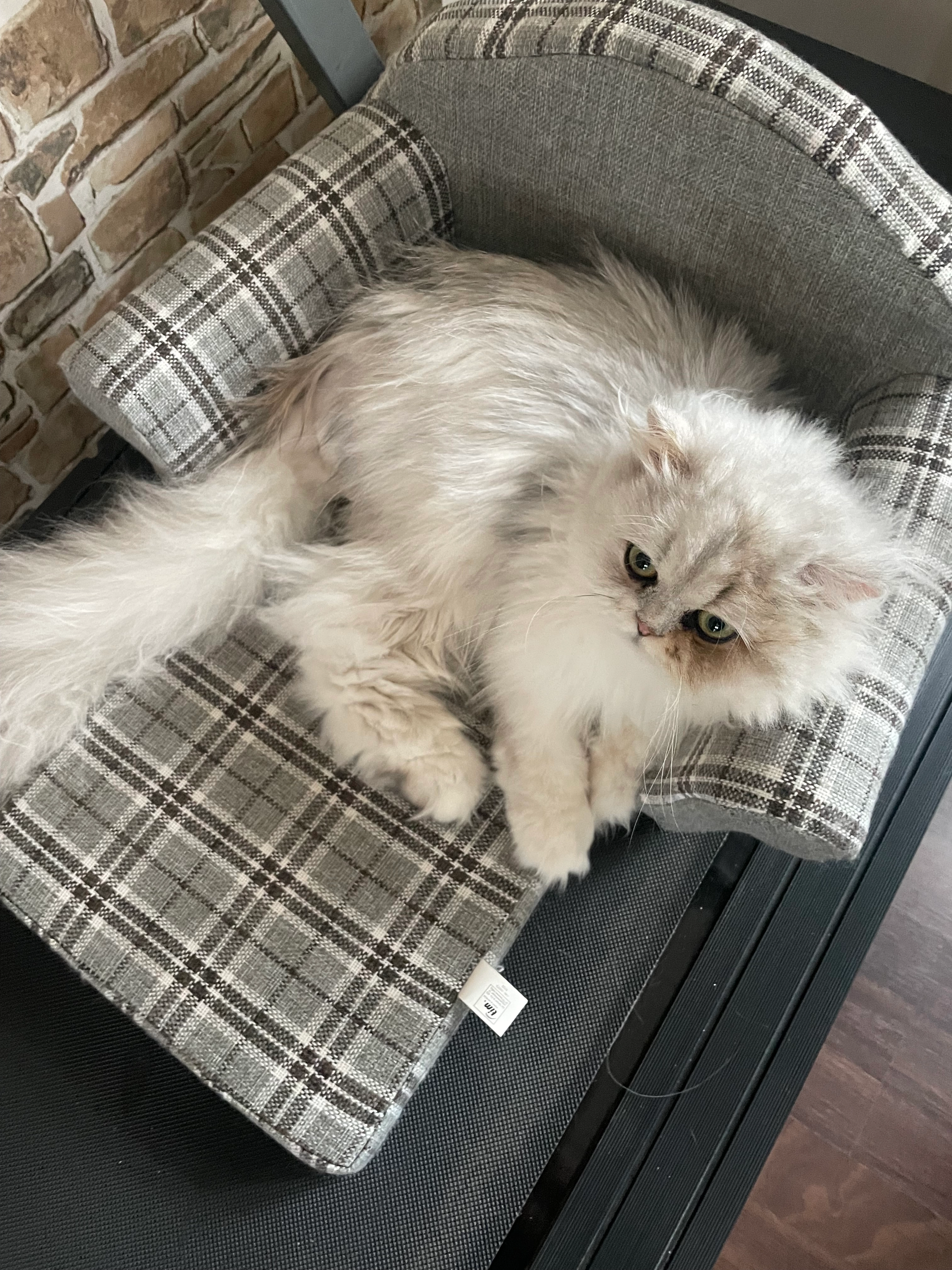 Gio - Grüner Weg, Plaidt