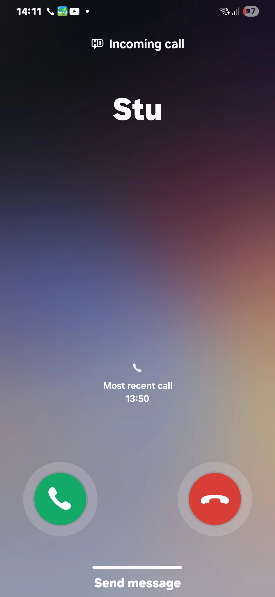 Teddy - Redford Crescent, Bristol