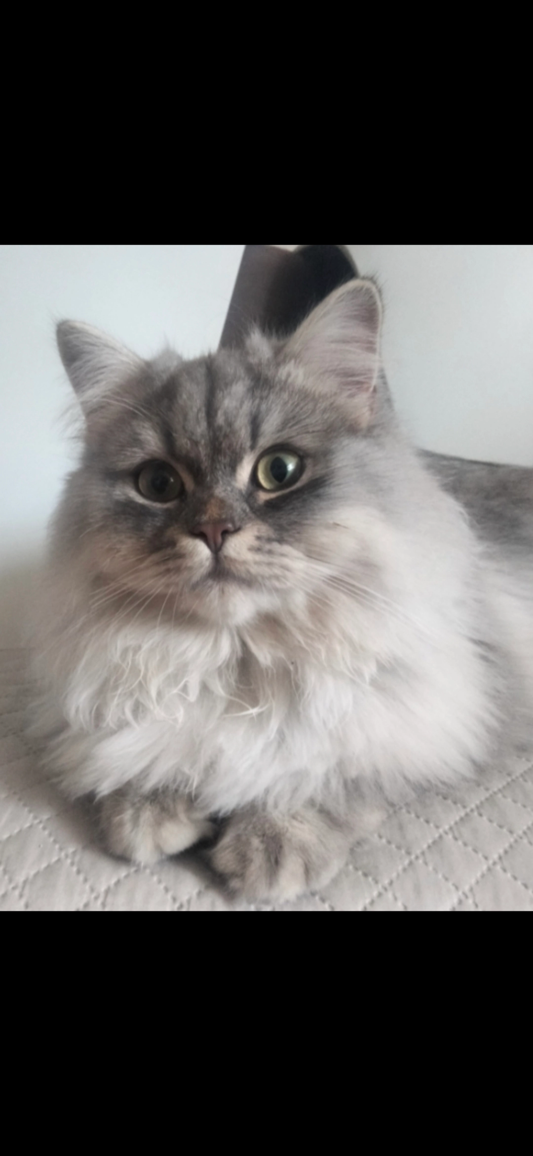 OSCAR  - Ostpreußenstraße , 18, Röthenbach an der Pegnitz