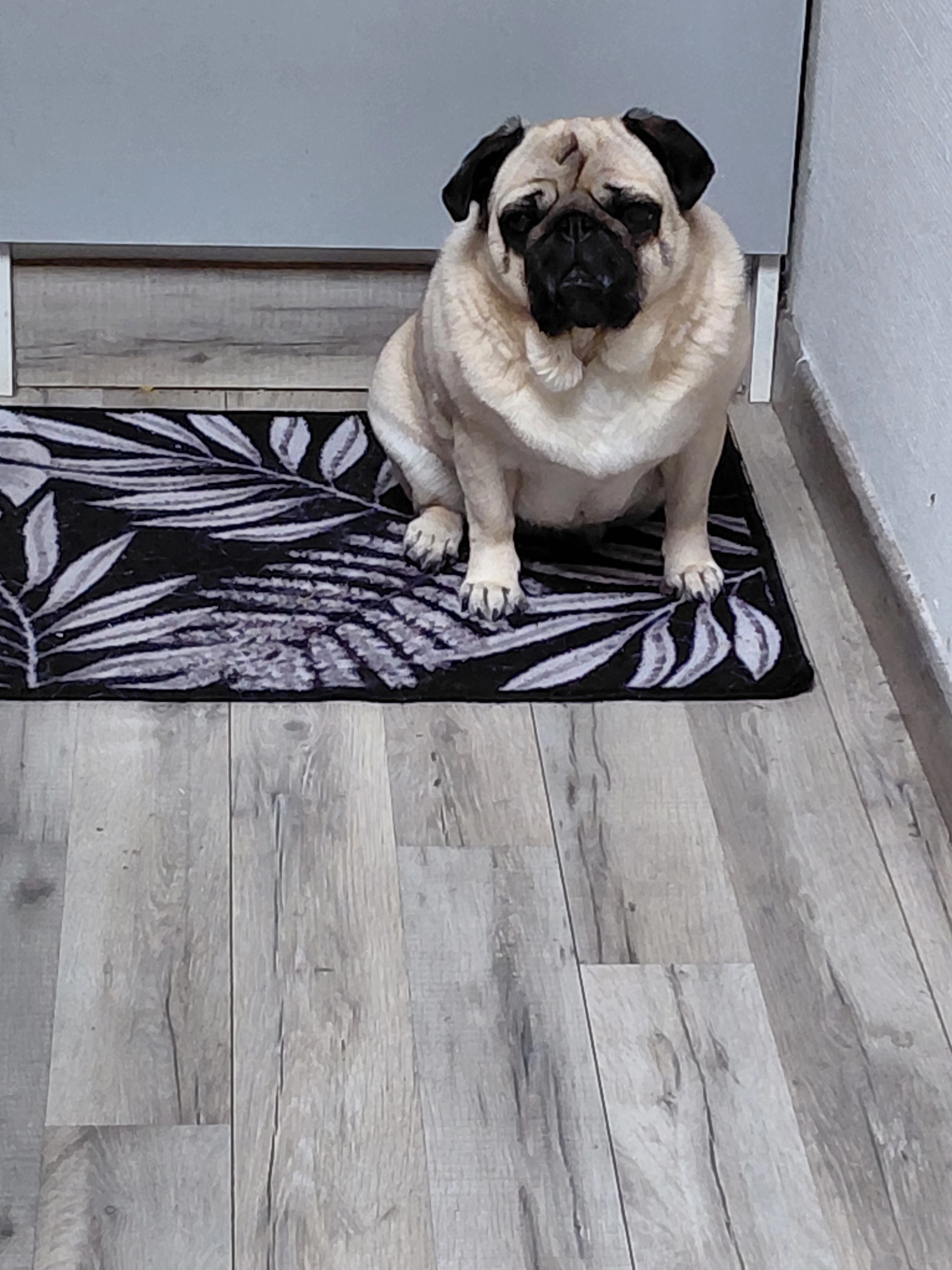 Paille - Rue Pierre de Coubertin, Cherbourg-en-Cotentin